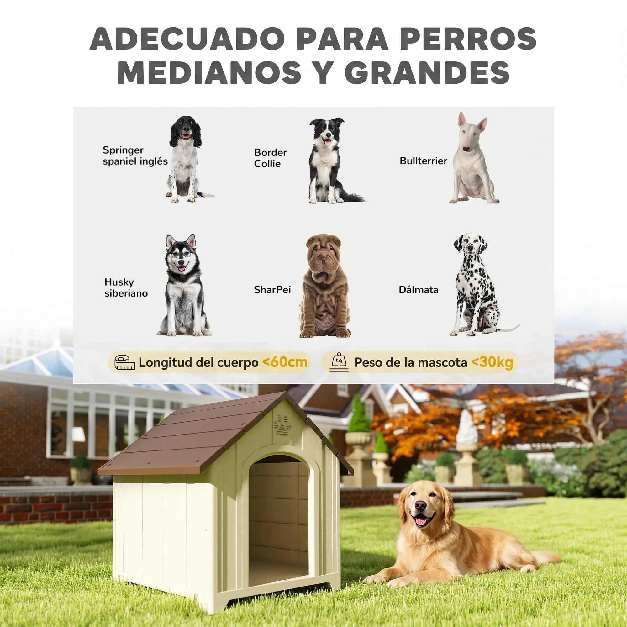PawHut Cuccia per cani da esterno per cani di taglia grande, 88 x 79 x 89 cm, beige - immagine 4