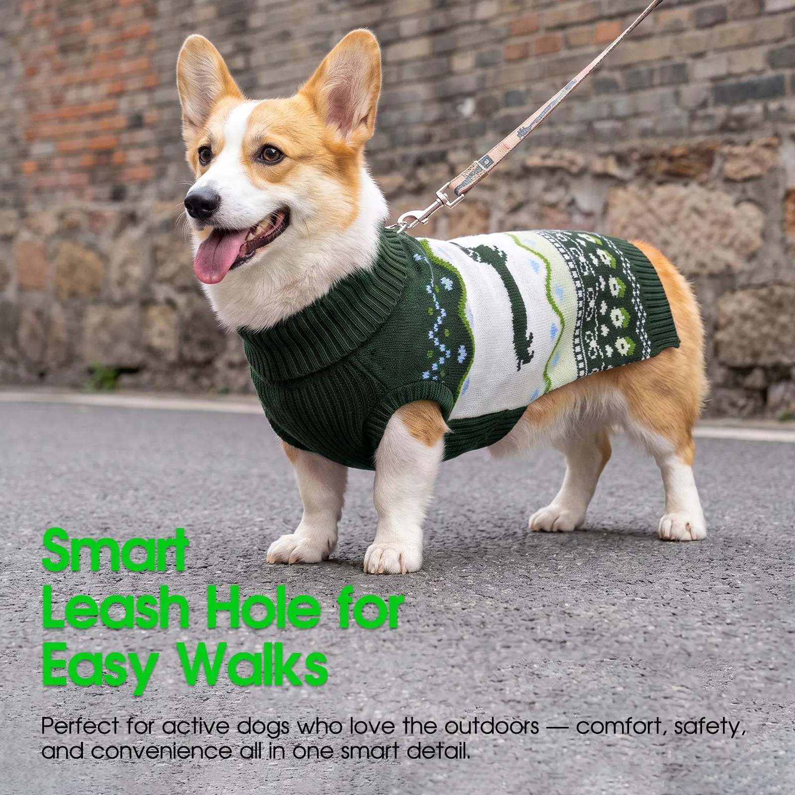 CITÉTOILE Maglione Cane Natale Colle Alto per Bassotto Verde XS - immagine 5