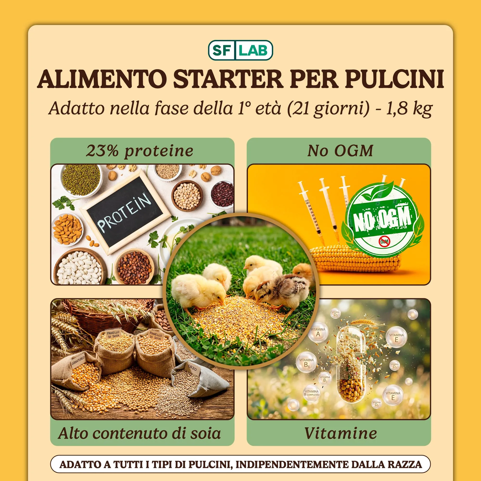 Mangime per Pulcini Appena Nati, Mangime Pulcini Primo Periodo con 23% di Proteine, Vitamine, Minerali e Oli Essenziali, Adatto dalla Nascita, No Ogm, confezione 1,8 kg - immagine 2