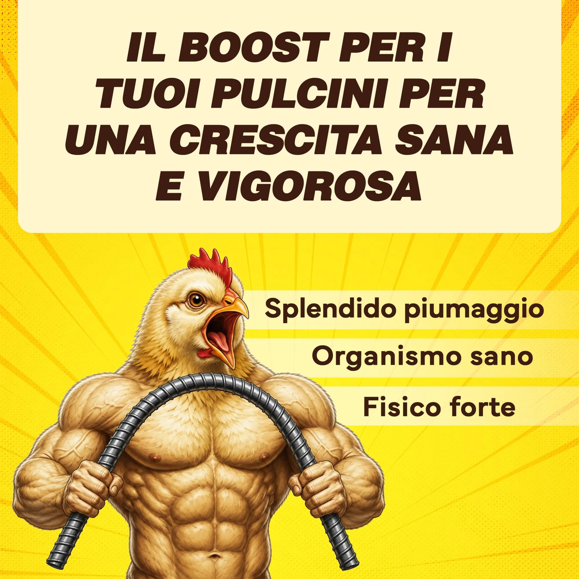 Mangime per Pulcini Appena Nati, Mangime Pulcini Primo Periodo con 23% di Proteine, Vitamine, Minerali e Oli Essenziali, Adatto dalla Nascita, No Ogm, confezione 1,8 kg - immagine 5