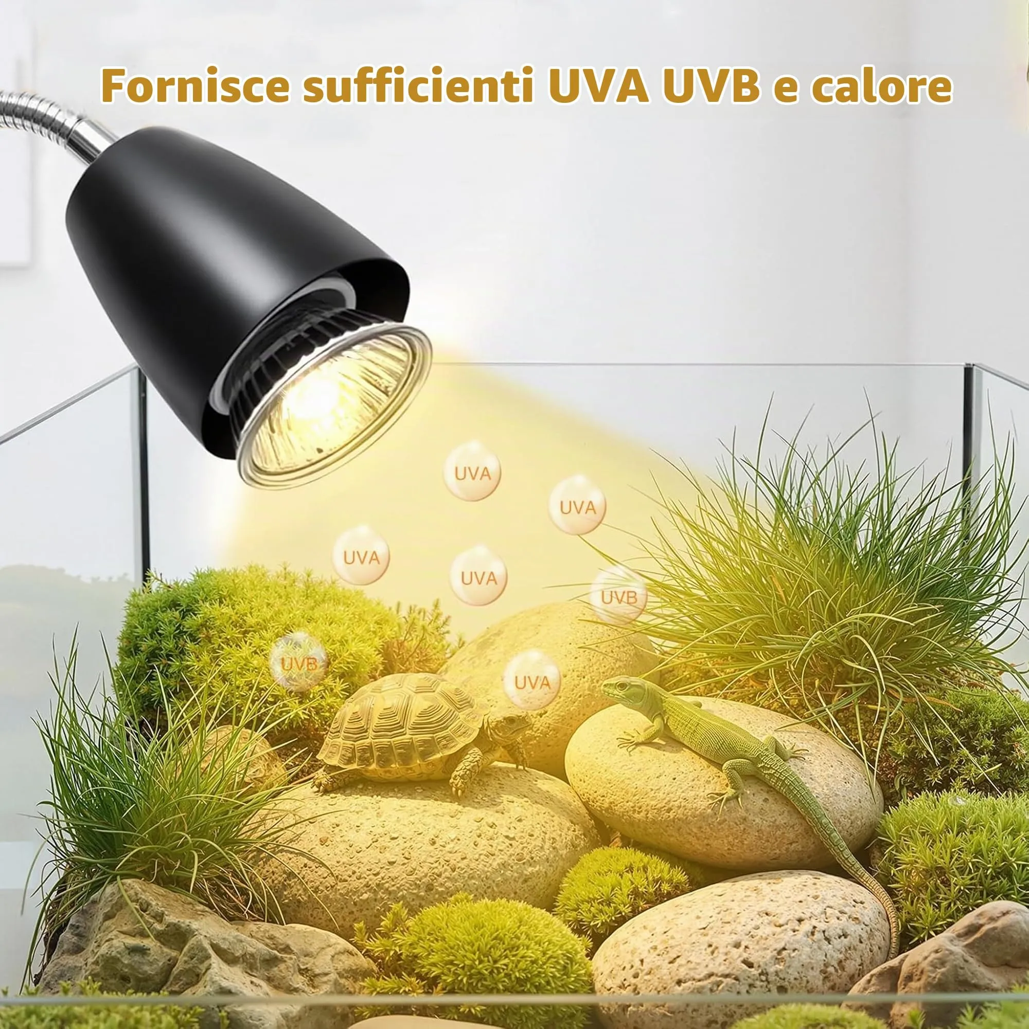 Frogetu Lampada UVA UVB per Tartarughe (Cycle Timer), Lampada Termica per Tartarughe, Lampadine 25W+50W Regolabili a 360° lampada per Anfibi Adatto per Tartaruga, Ragno, Lucertola (Nero B) - immagine 4
