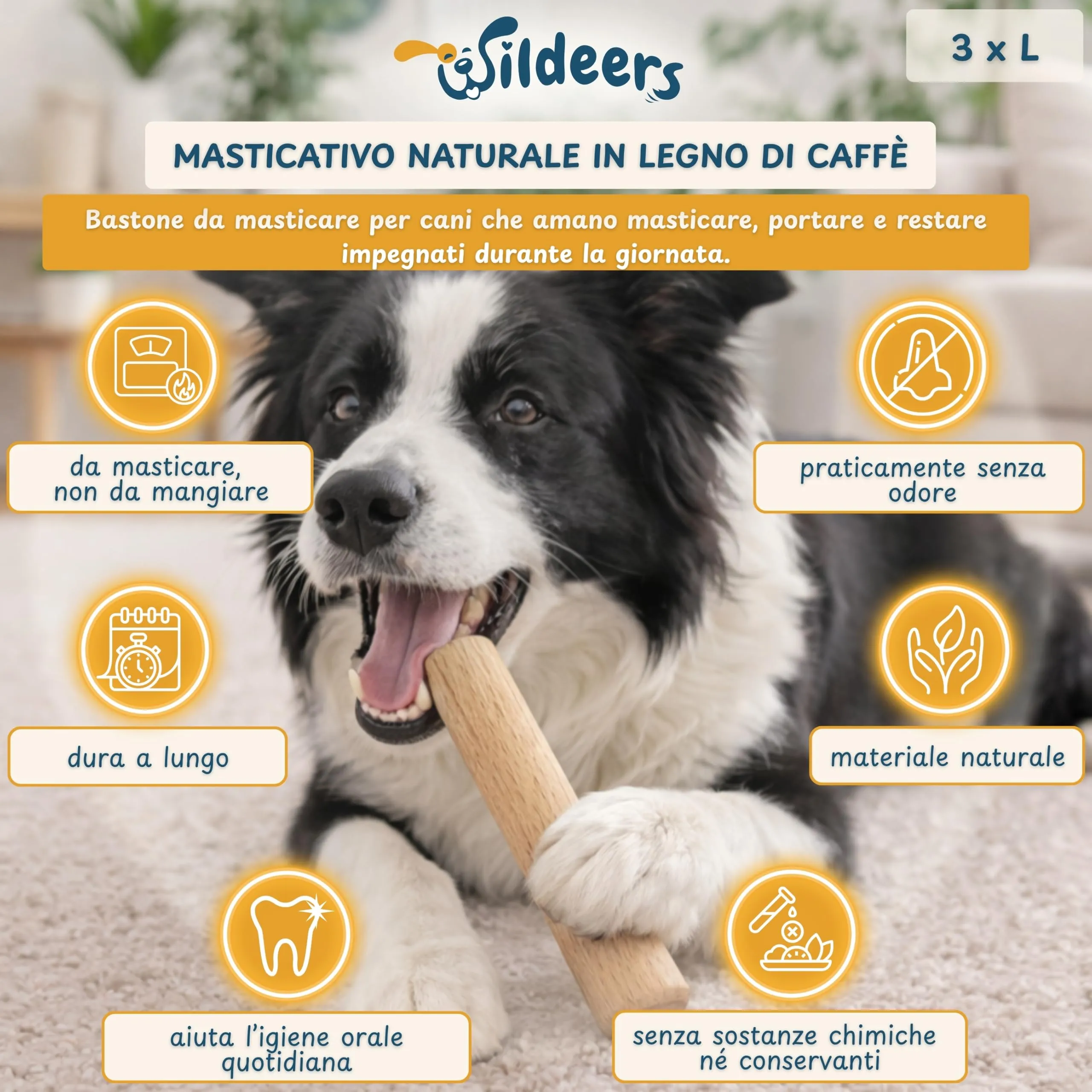 Wildeers Legno di Caffè per Cani, Resistente, Taglia L, 16-20 cm, 3 Pezzi - immagine 2