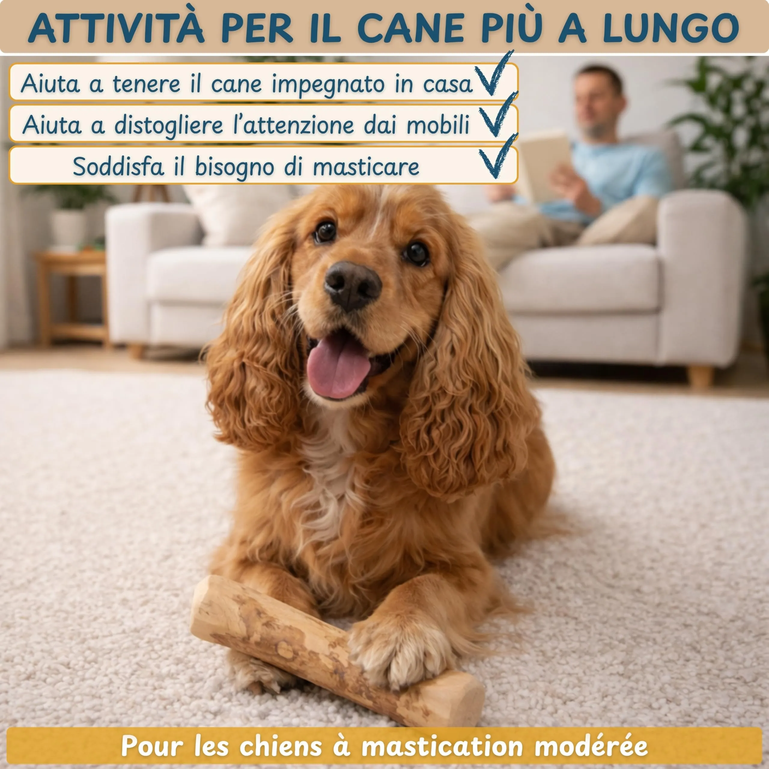 Wildeers Legno di Caffè per Cani, Resistente, Taglia L, 16-20 cm, 3 Pezzi - immagine 3