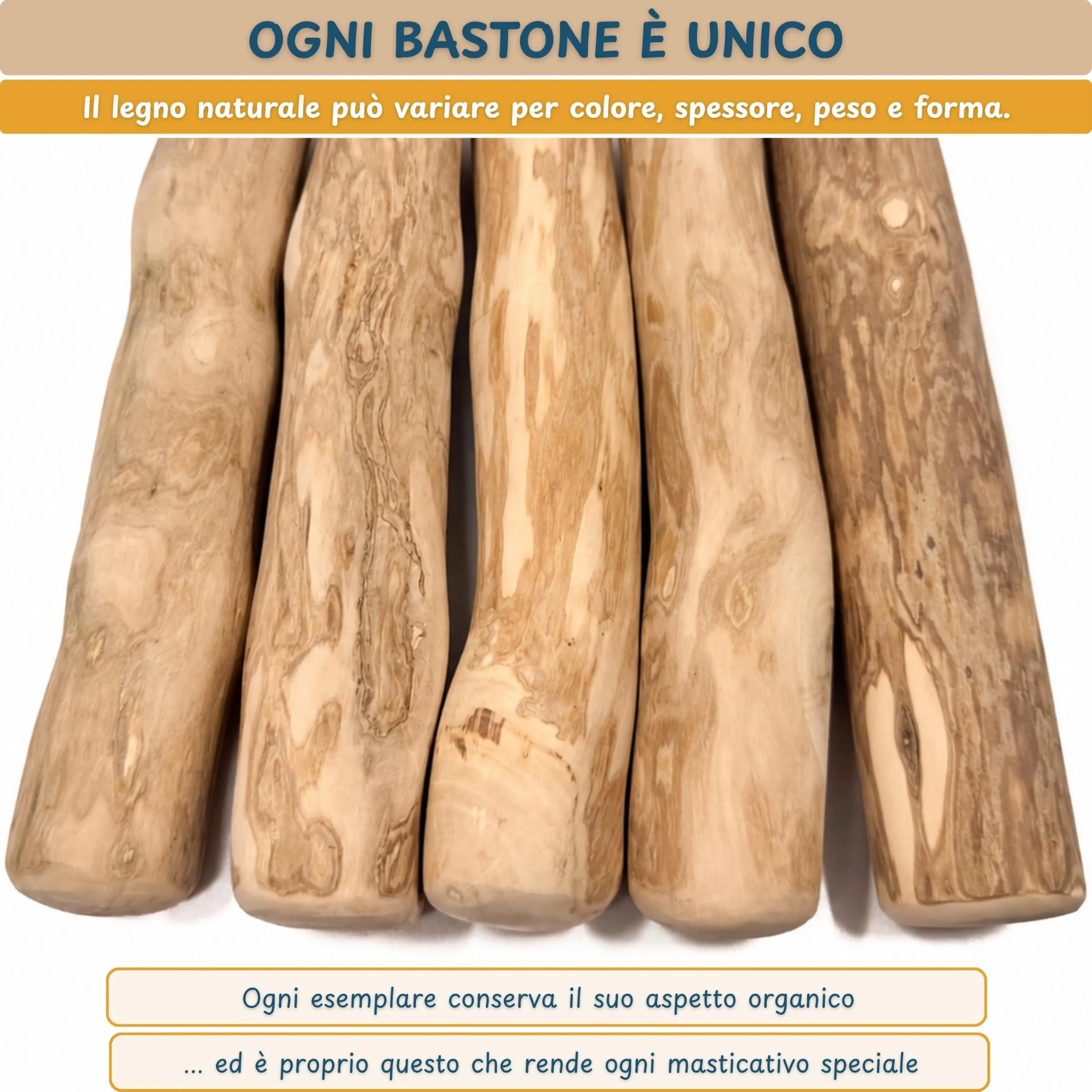 Wildeers Legno di Caffè per Cani, Resistente, Taglia L, 16-20 cm, 3 Pezzi - immagine 7
