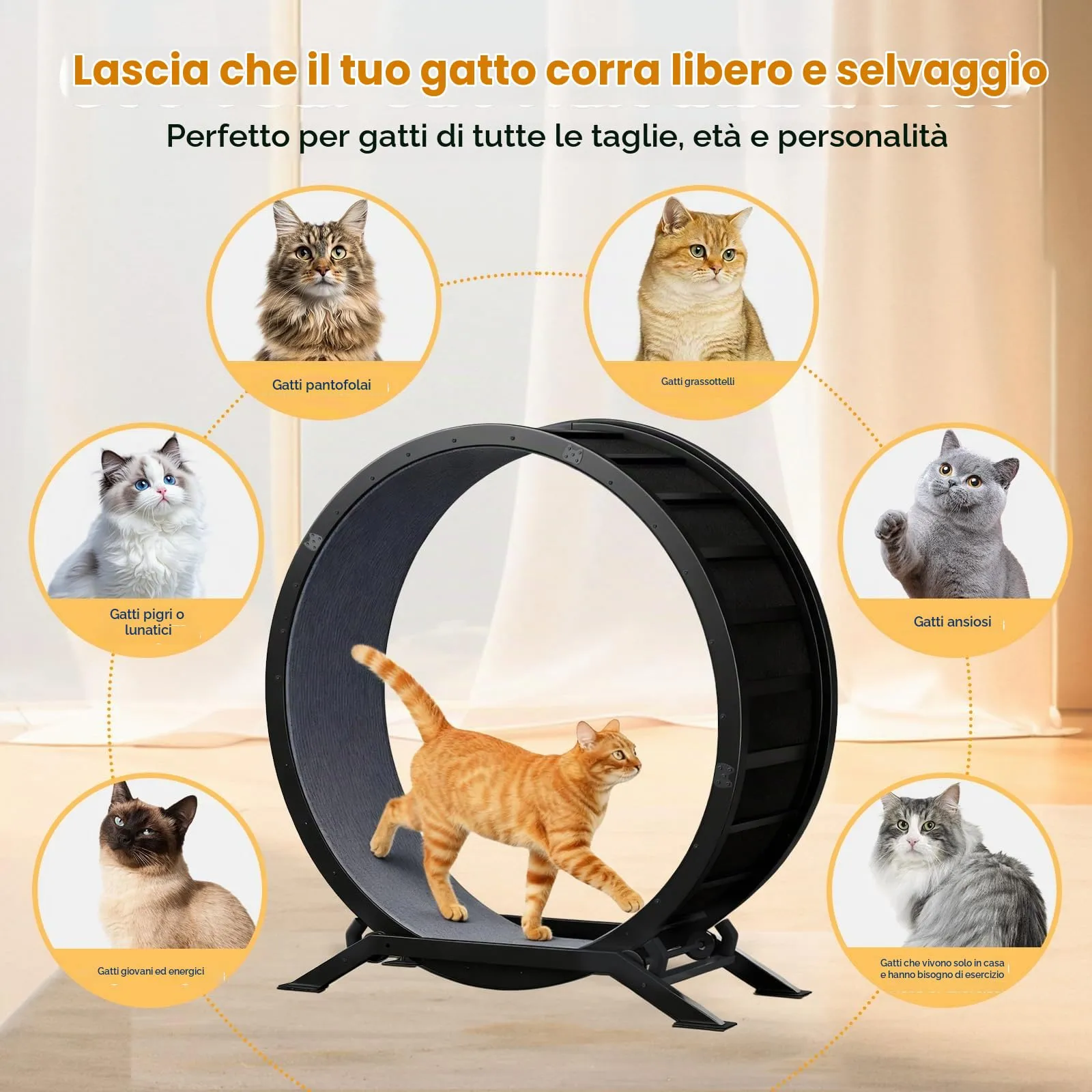 GTPLAYER Ruota per gatti Ruota per esercizi per gatti M - 75 cm, ultra silenziosa con tappetino rimovibile, adesivi, sistema di bloccaggio, metallo, nero, regali per il vostro gatto - immagine 8