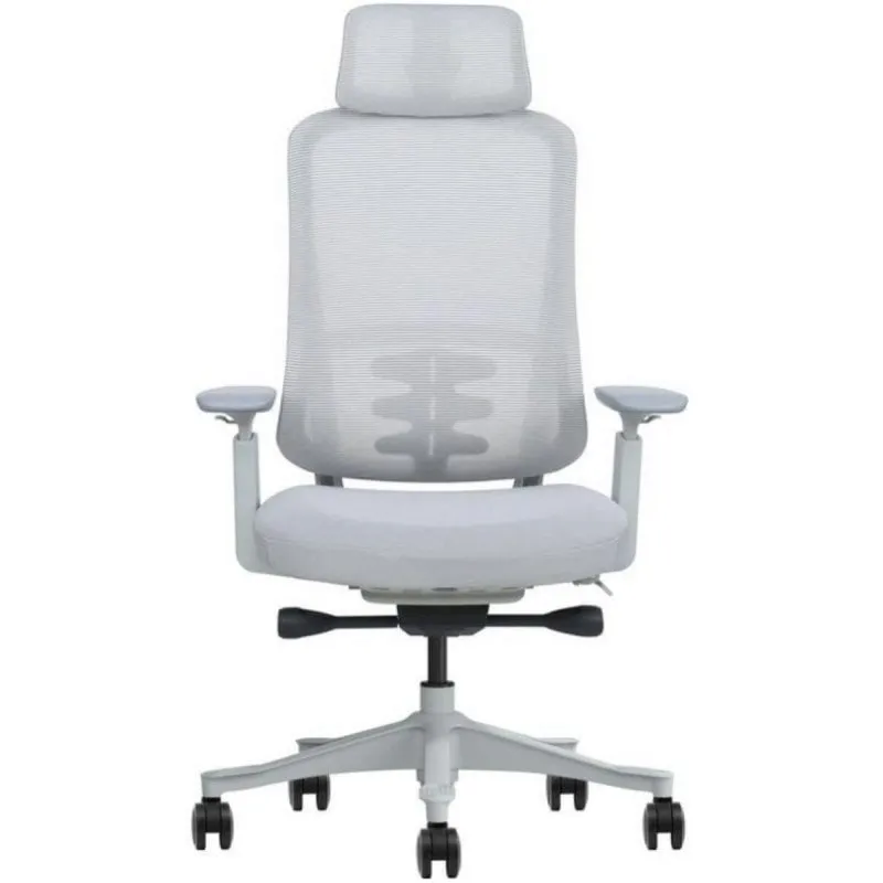Phoenix Lira Sedia Ergonomica con Schienale Mesh, Braccioli 3D, Gas Pistone Classe 4 - immagine 1