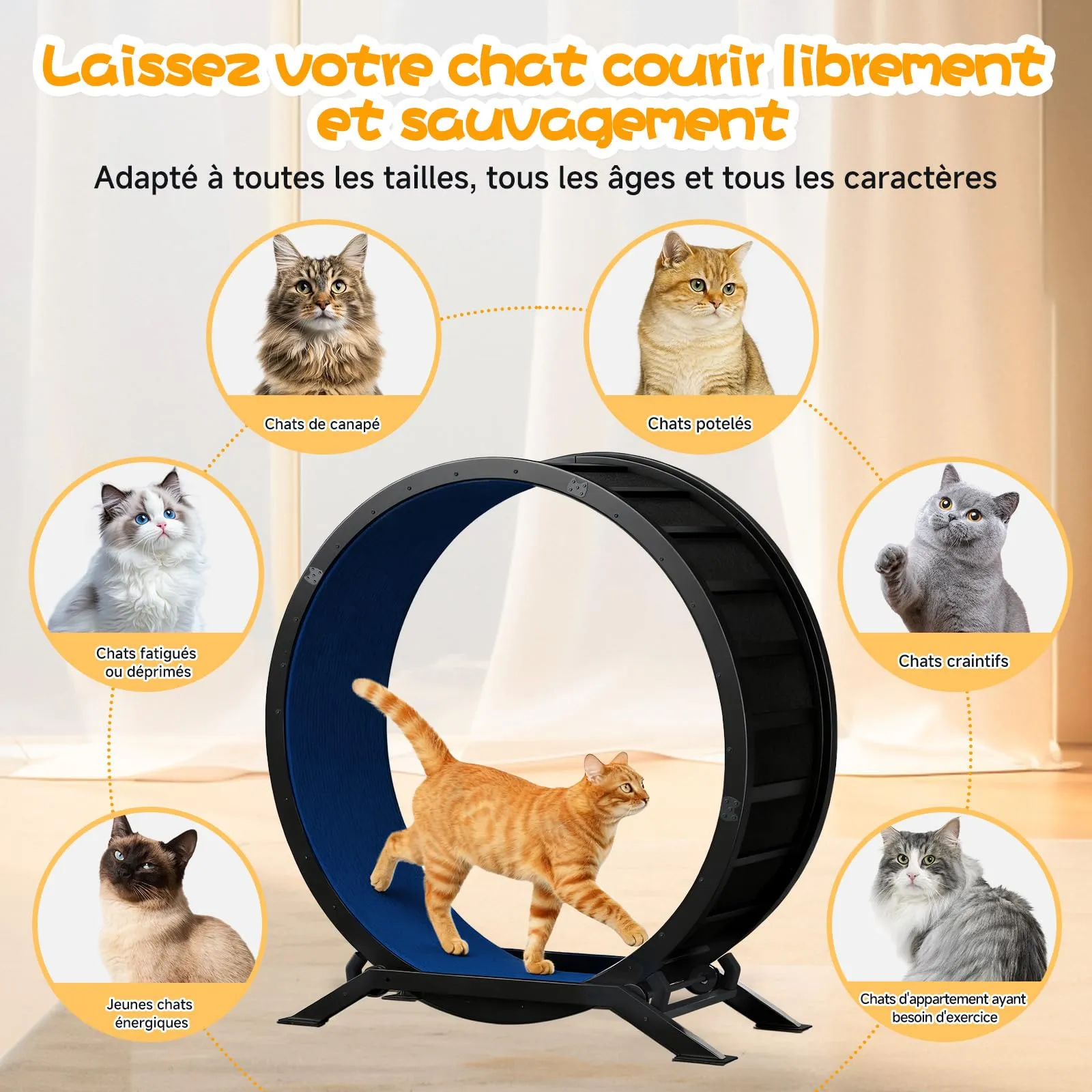 GTPLAYER Ruota per gatti, ruota per esercizi per gatti, XL- 100 cm, ultra silenziosa con tappetino rimovibile, adesivi, sistema di bloccaggio, metallo, blu, regali per il vostro gatto - immagine 2
