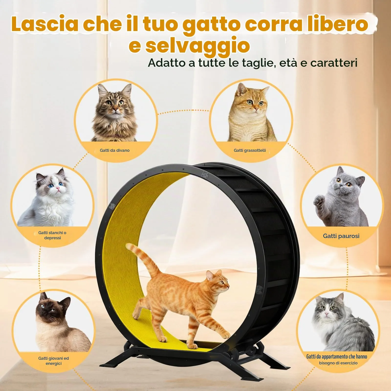 GTPLAYER Ruota per gatti, ruota per esercizi per gatti, XL- 100 cm, ultra silenziosa con tappetino rimovibile, adesivi, sistema di bloccaggio, metallo, giallo, regali per il vostro gatto - immagine 4
