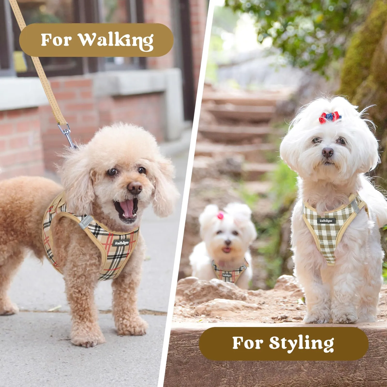 rabbitgoo Pettorina Cane Taglia Piccola, Leggero e Morbido, Tartan Kaki M - immagine 9