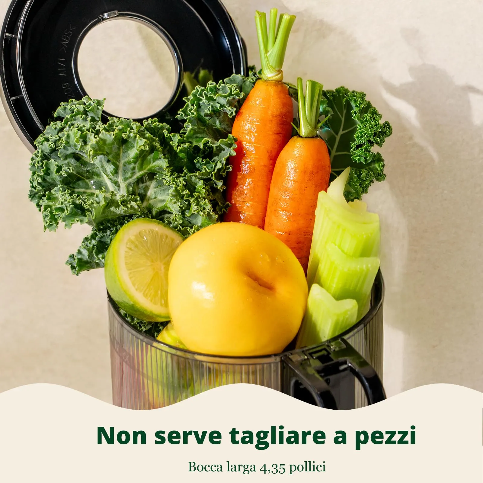 LINKchef Estrattore di Succo a Freddo, Facile da Pulire, 1.2L 200w - immagine 4