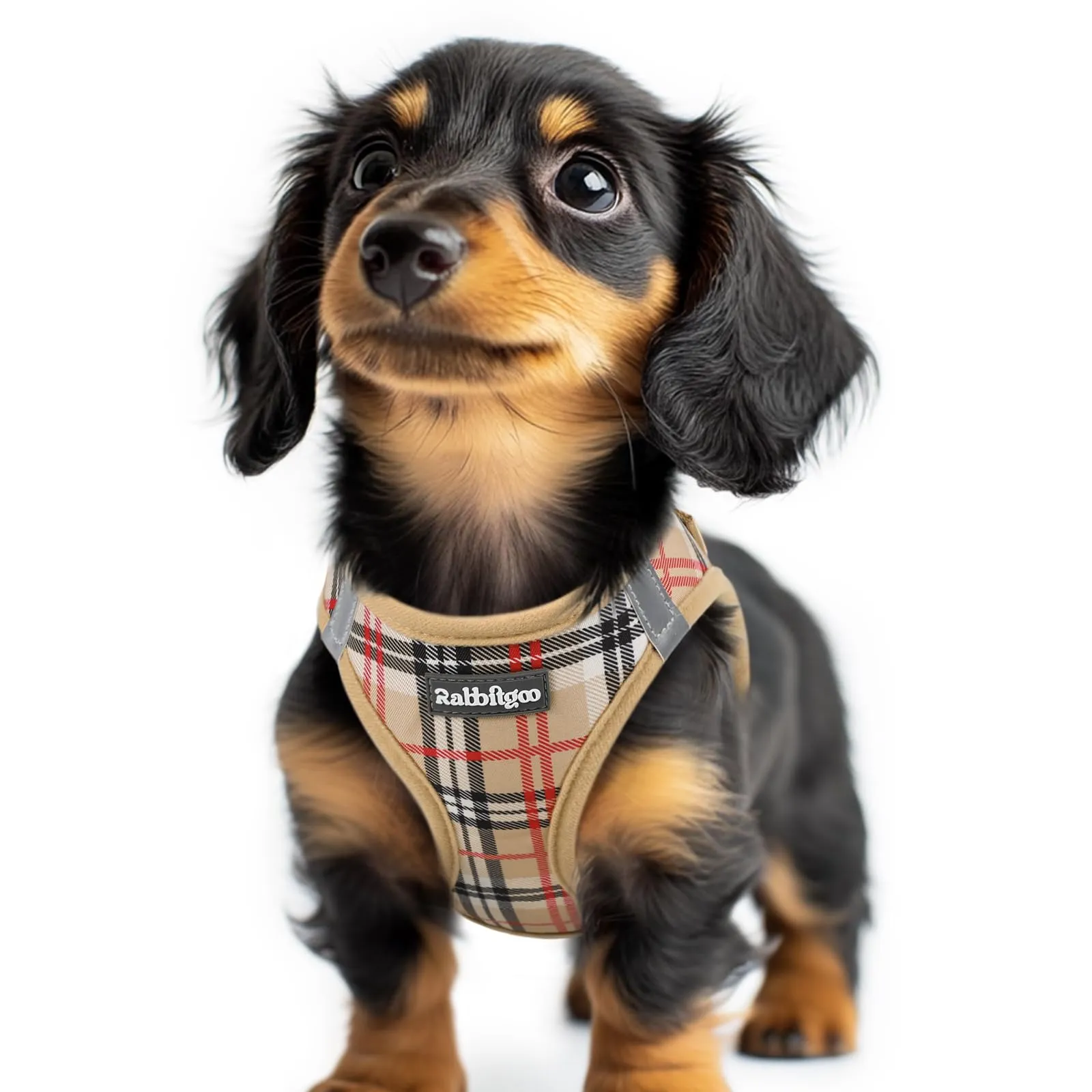 rabbitgoo Pettorina Cane Taglia Piccola, Leggero e Morbido, Tartan Kaki XXS - immagine 1