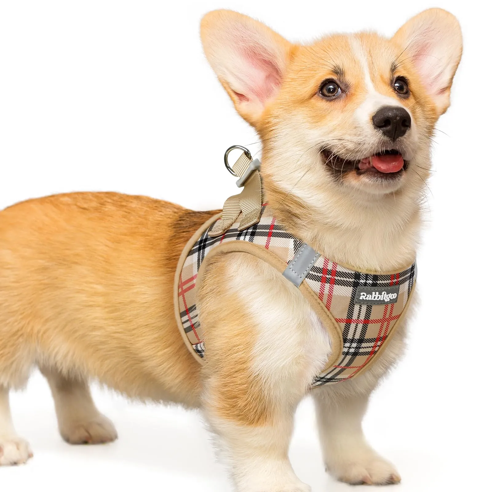 rabbitgoo Pettorina Cane Taglia Piccola, Leggero e Morbido, Tartan Kaki L - immagine 1