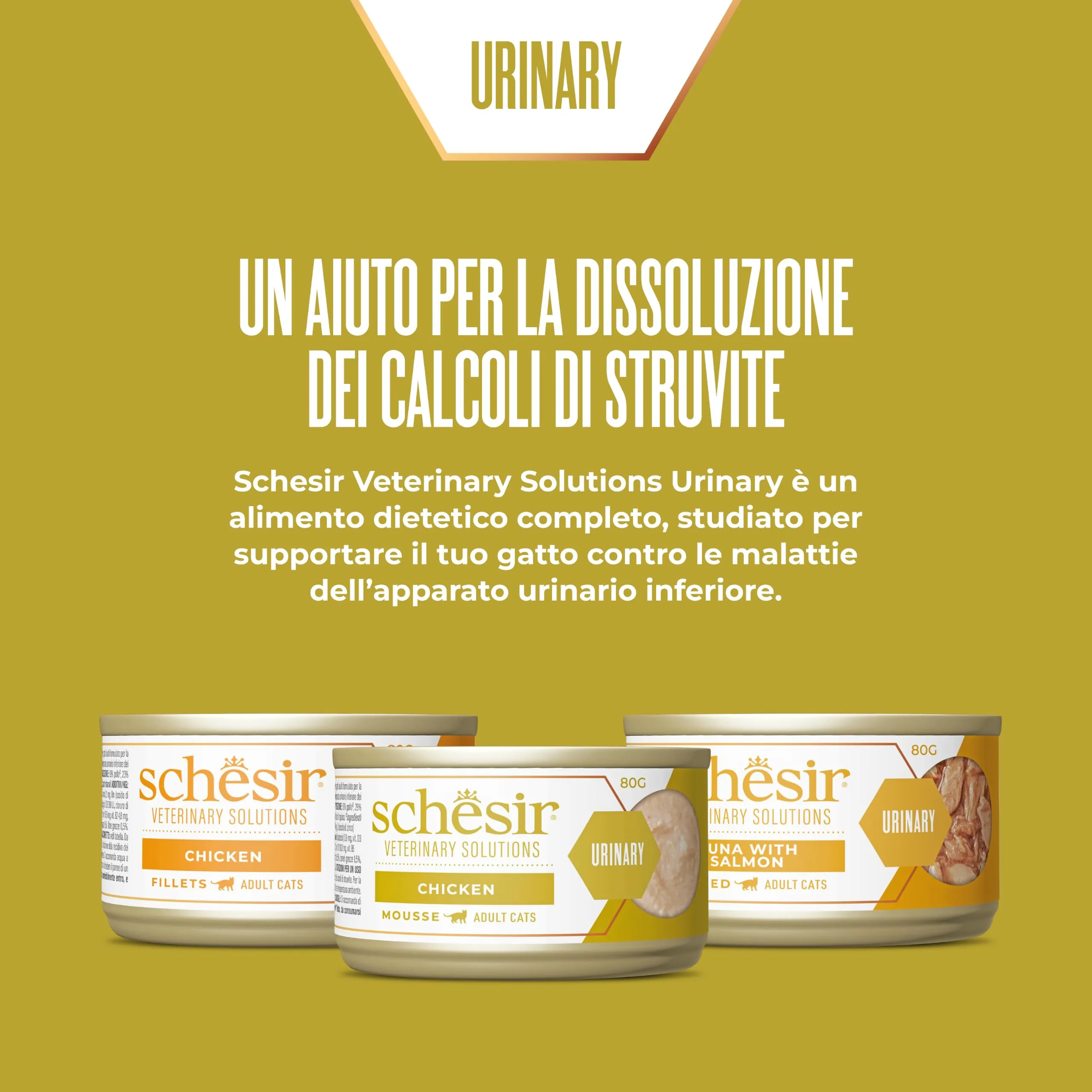 Schesir Veterinary Solutions Urinary, Tonnetto con Salmone, Alimento Umido Completo per Gatti Adulti, Malattie Basse Vie Urinarie, Grain Free, 8 x 80g - immagine 2