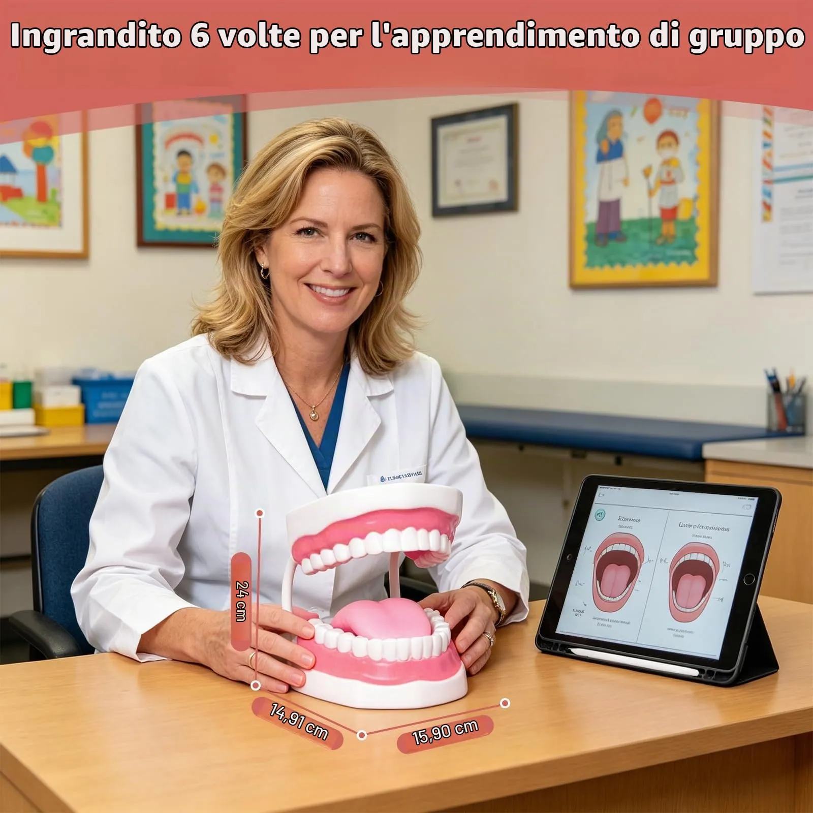 Ultrassist Modello Dentale, ideale per l'insegnamento di spazzolatura per bambini e bambini, 6 volte ingrandire, include spazzolino da denti, Modello di Denti Standard - immagine 5