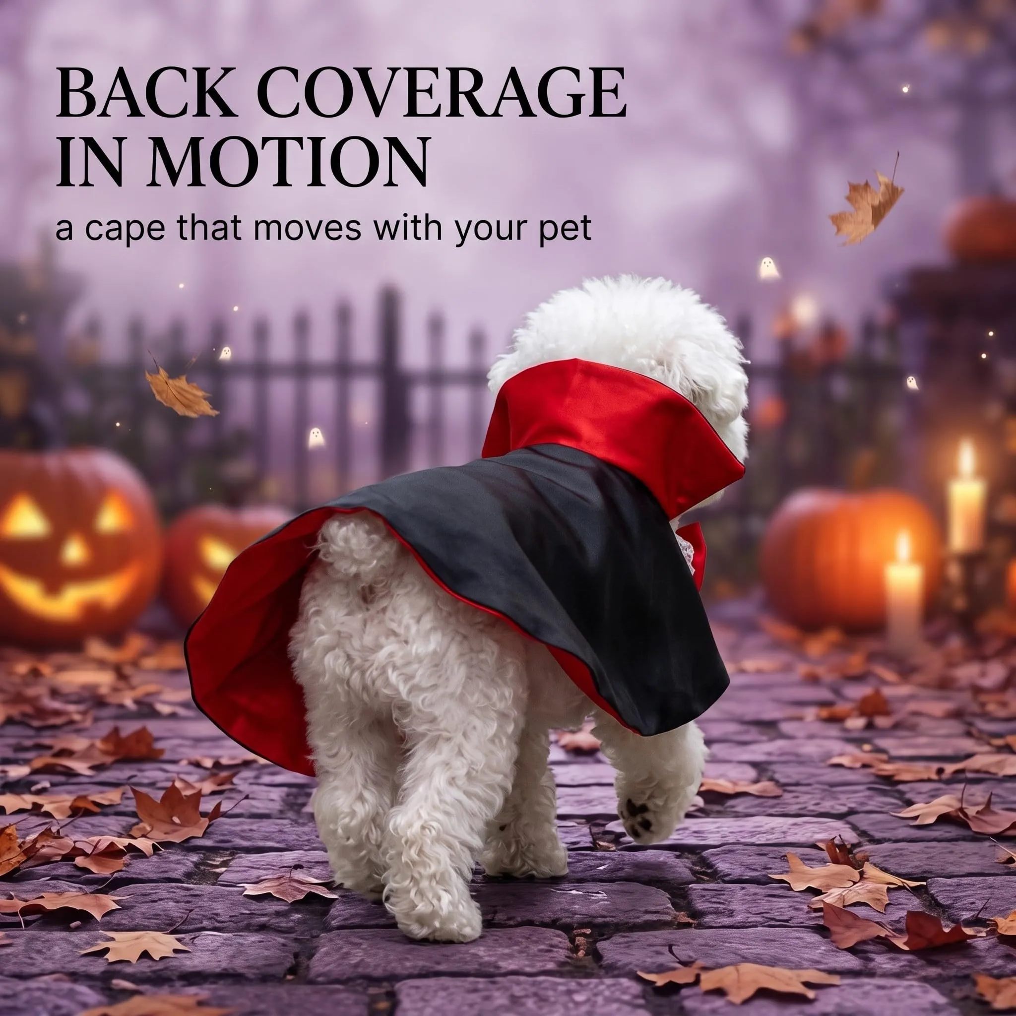 Mantello Halloween per Gatti e Cani Taglia M, Costume Halloween Gatto con Farfallino, Mantello per Animali Domestici per Travestimento Festa - immagine 7