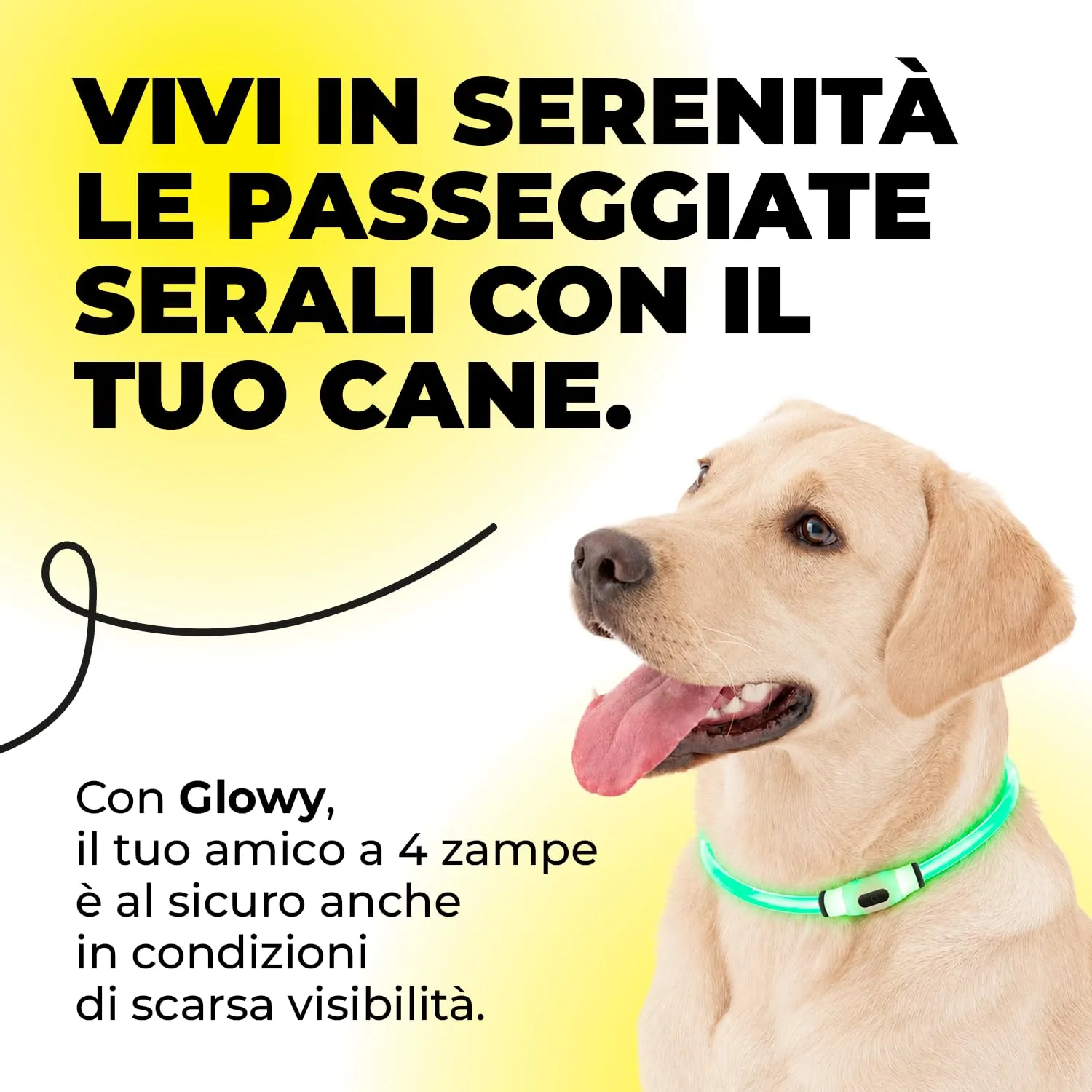 ErrecHome Glowy Collare LED per Cani, Alta Visibilità, Taglia Unica - immagine 3