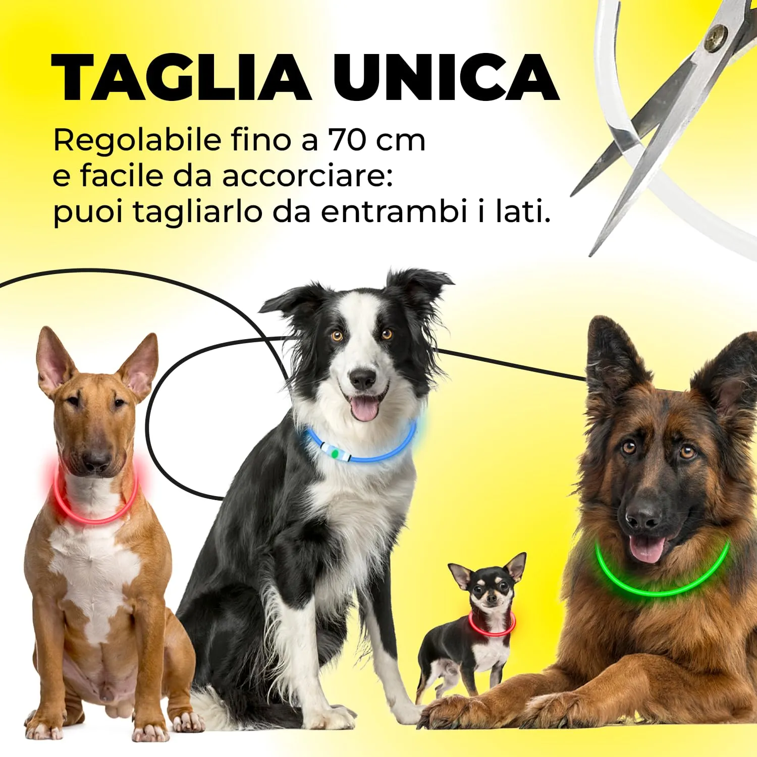 ErrecHome Glowy Collare LED per Cani, Alta Visibilità, Taglia Unica - immagine 5