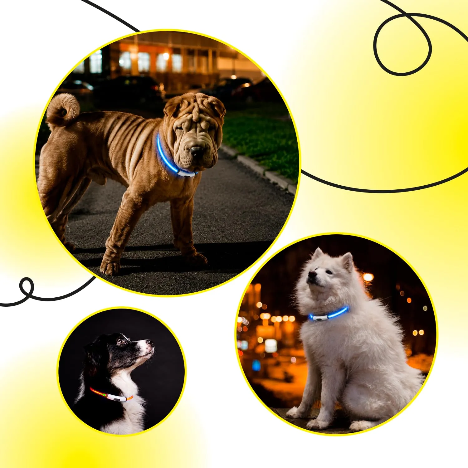 ErrecHome Glowy Collare LED per Cani, Alta Visibilità, Taglia Unica - immagine 7
