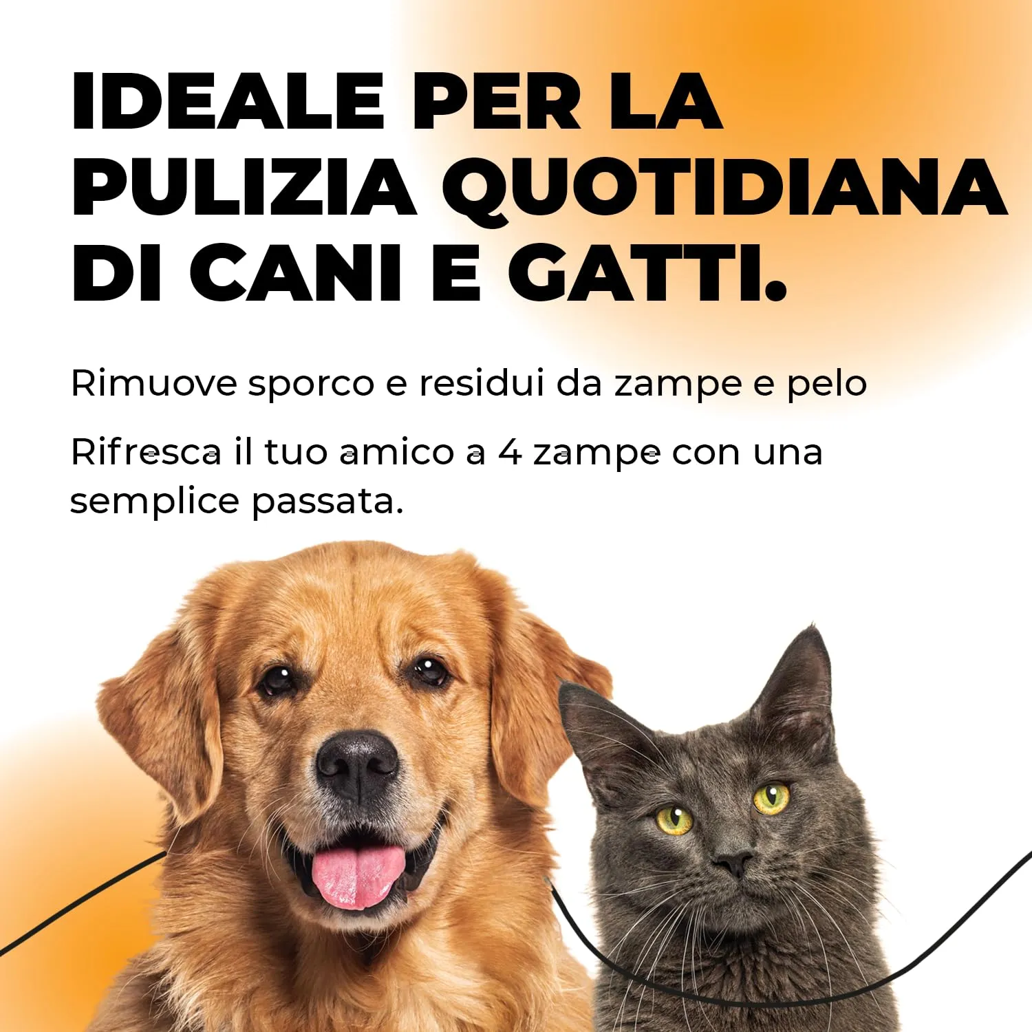 ERRECHOME Wipy Salviettine Detergenti Cani e Gatti Talco,100 pz, 30 x 15 cm - immagine 2