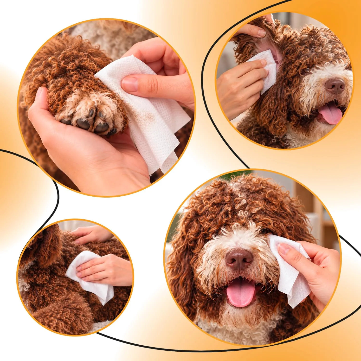 ERRECHOME Wipy Salviettine Detergenti Cani e Gatti Talco,100 pz, 30 x 15 cm - immagine 6