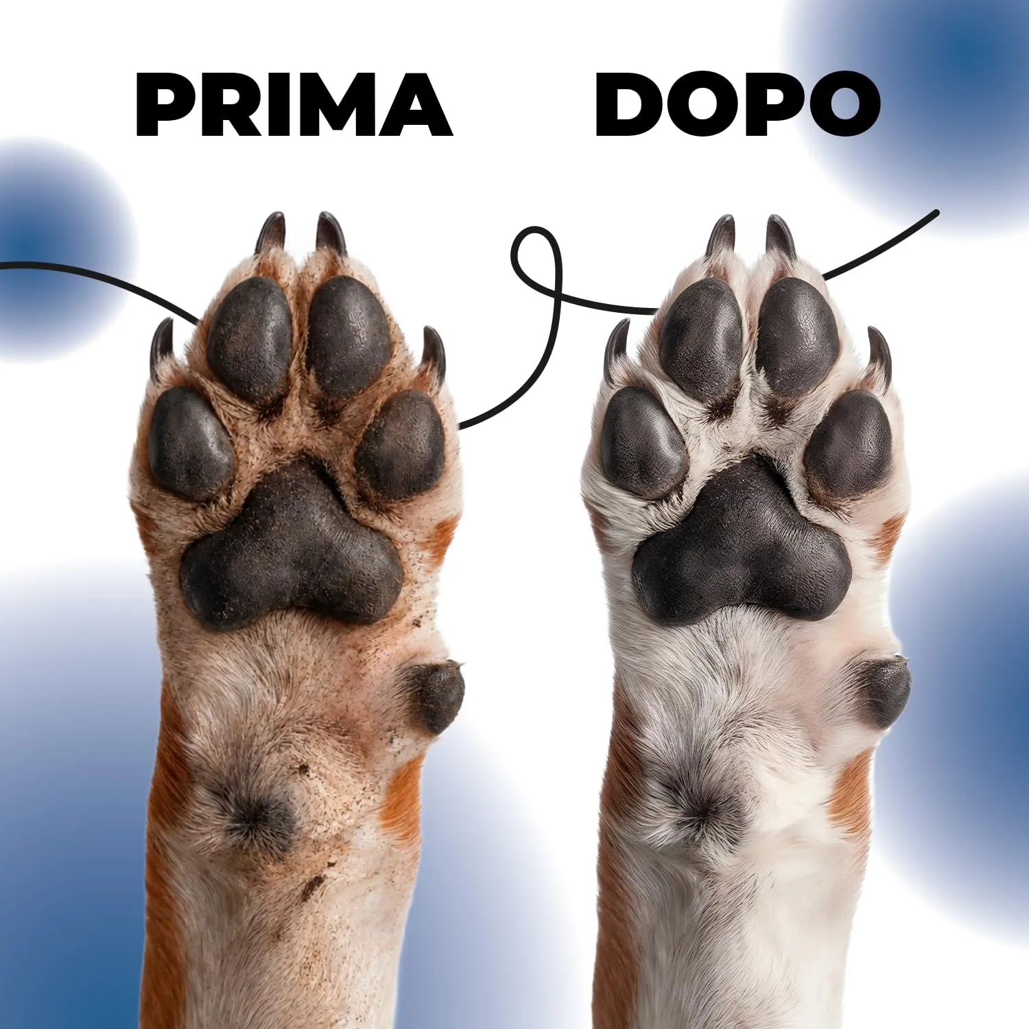 ErrecHome Pawsy Pulisci Zampe Cani e Gatti con Setole Morbide in Silicone - immagine 7