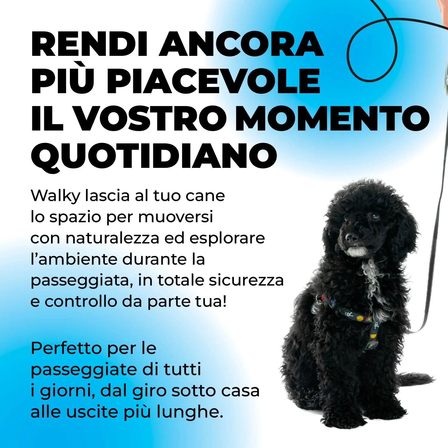 ErrecHome Walky Guinzaglio Allungabile fino a 5 m per Cani fino a 20 kg - immagine 3