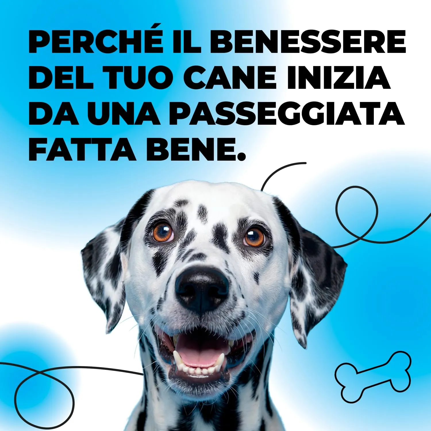 ErrecHome Walky Guinzaglio Allungabile fino a 5 m per Cani fino a 20 kg - immagine 8