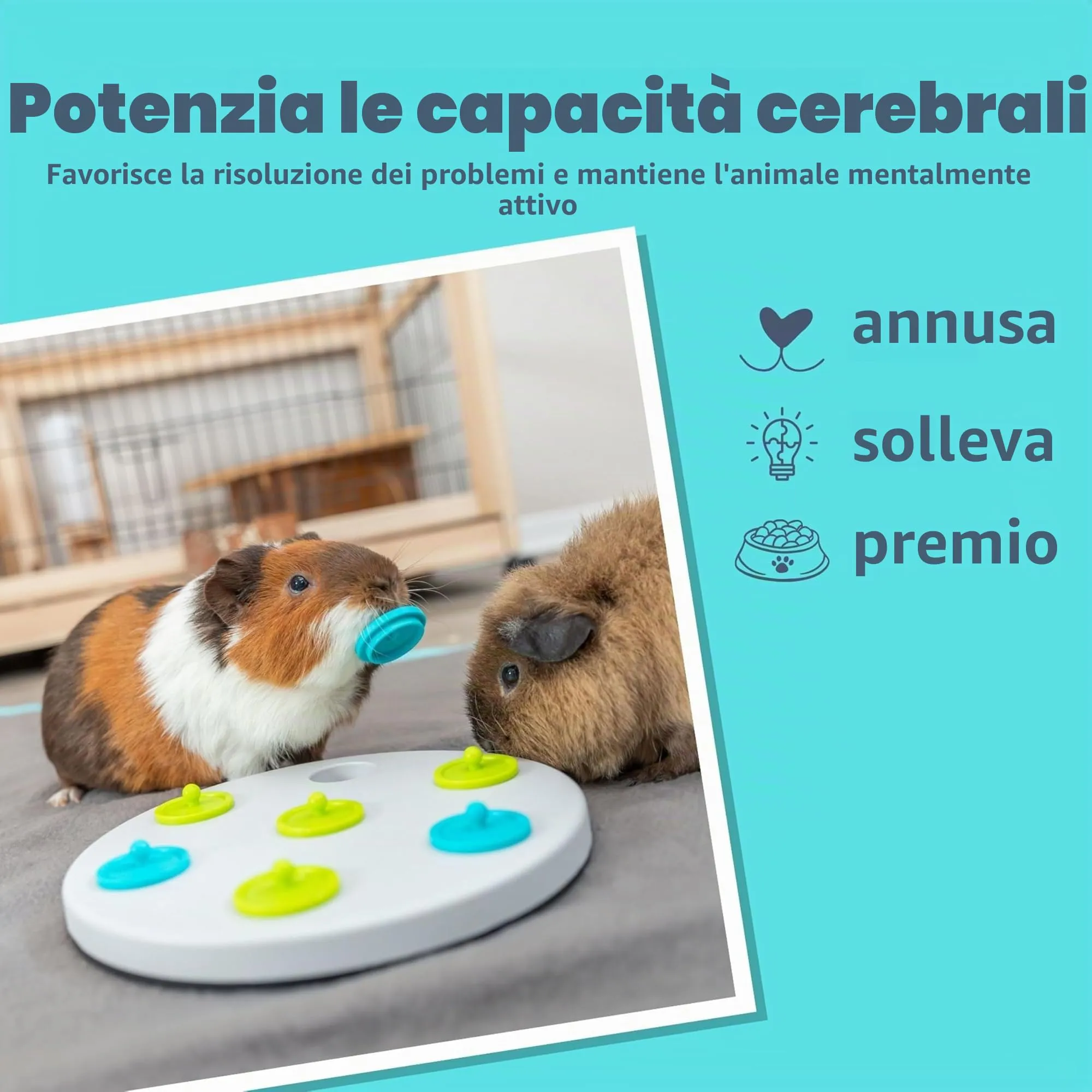 Trixie Coniglio Snacky Board Treat Trovare Gioco Animali Domestici Divertimento - immagine 3