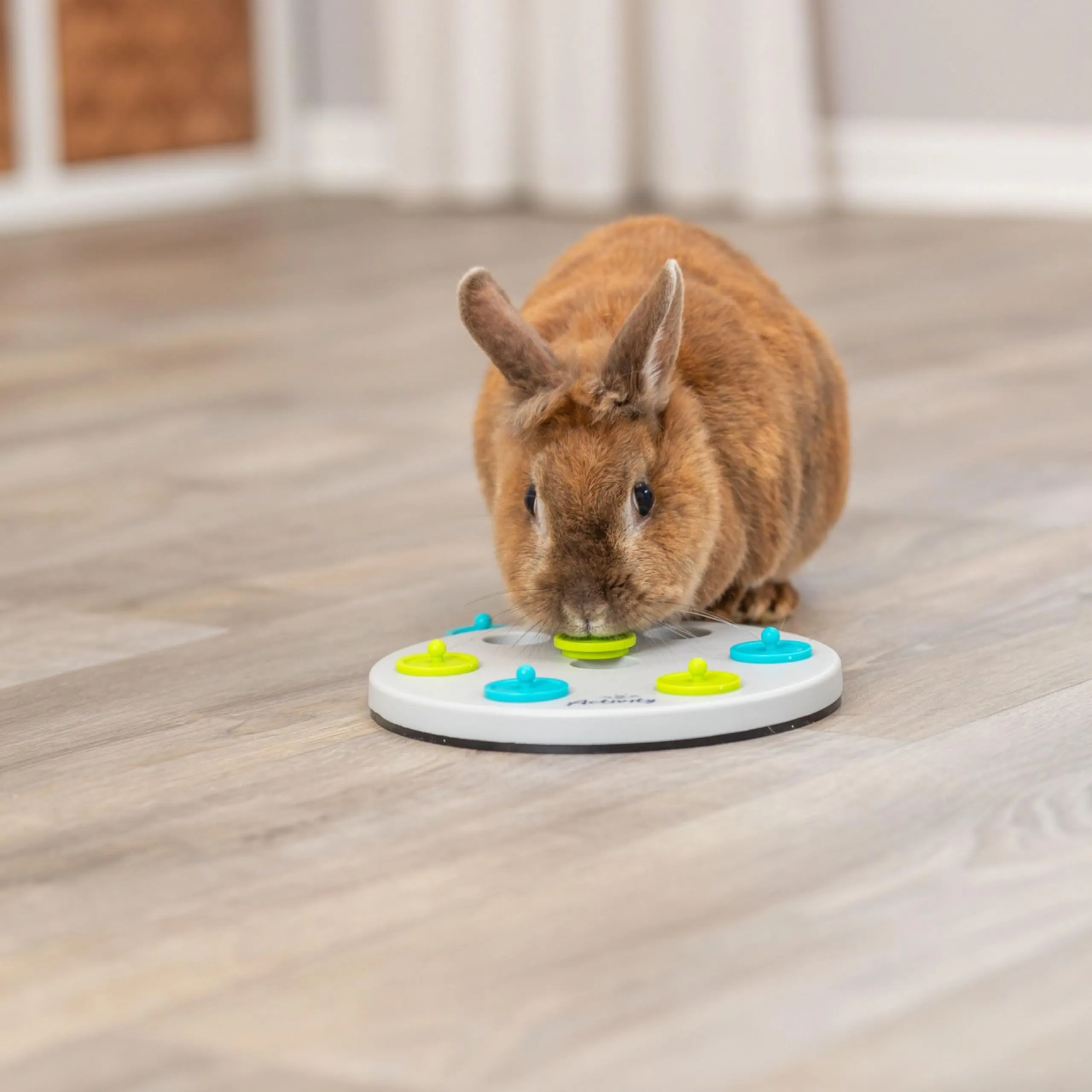 Trixie Coniglio Snacky Board Treat Trovare Gioco Animali Domestici Divertimento - immagine 4