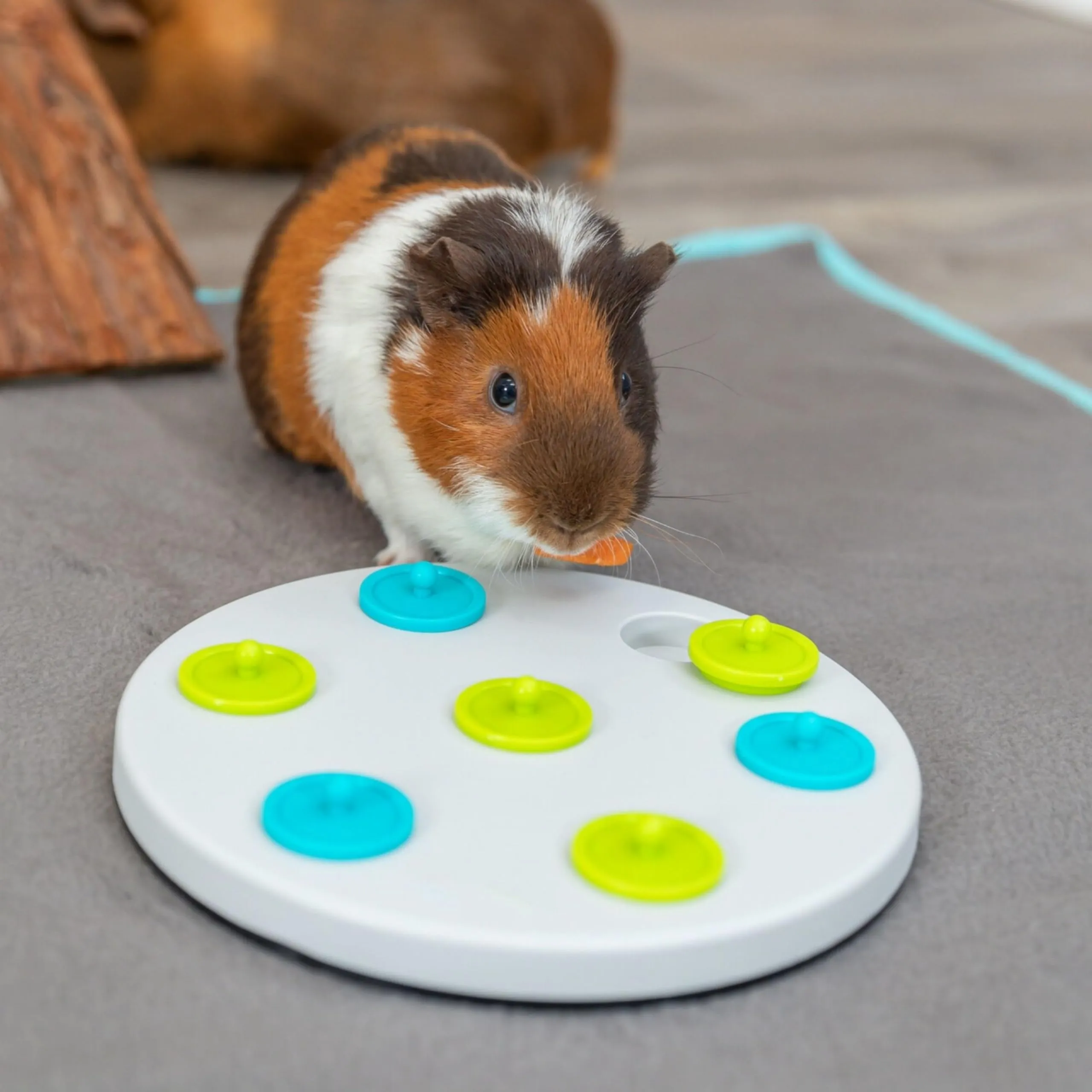 Trixie Coniglio Snacky Board Treat Trovare Gioco Animali Domestici Divertimento - immagine 7