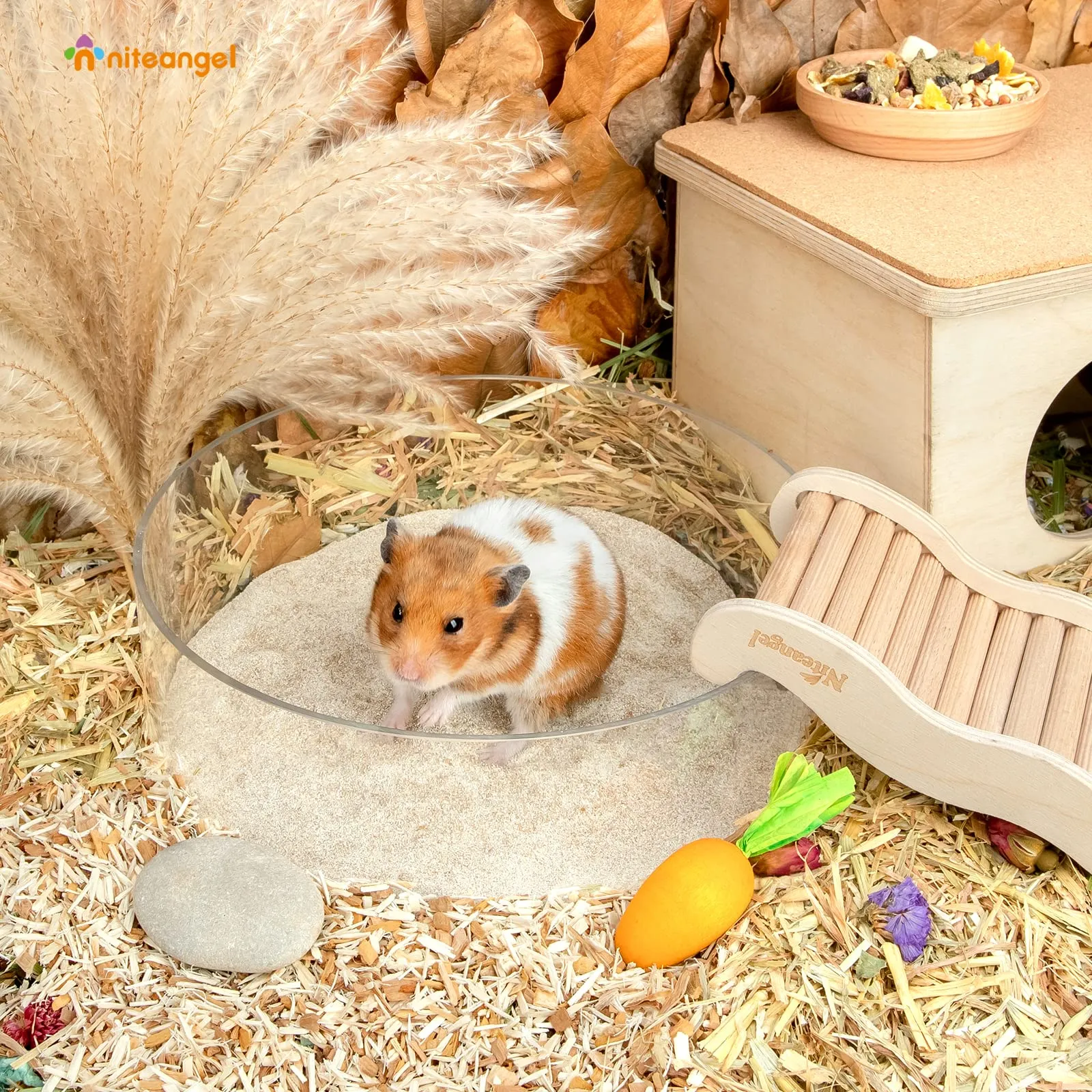 Niteangel Sabbia da Bagno nel Deserto per criceti, cincillà, gerbo, Topi, Degu o Altri Piccoli Animali Domestici (Sabbia del Deserto e Particelle di Zeolite, 2.72kg) - immagine 3