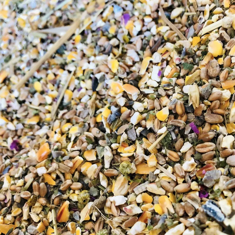 My Little Farm Lebensfreude - Cibo per polli biologico, 2 kg, mix di cereali integrali con erbe preziose per una cura ottimale e un mantenimento sano di galline ovaiole e altri pollame - immagine 2