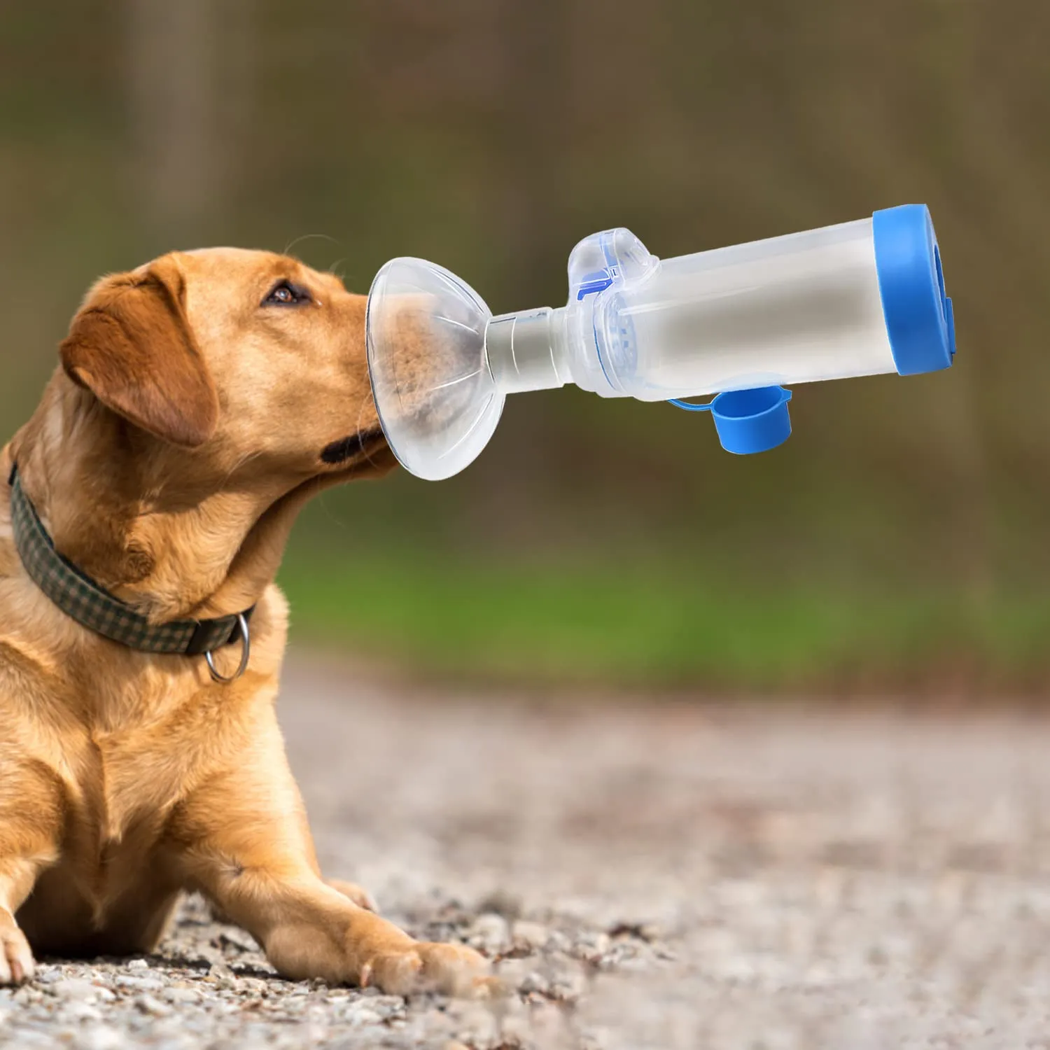 Camera per animali domestici Distanziatore inalatore per gatto o cane Distanziatore portatile con esclusivo indicatore di respirazione (maschera per cani) - immagine 7