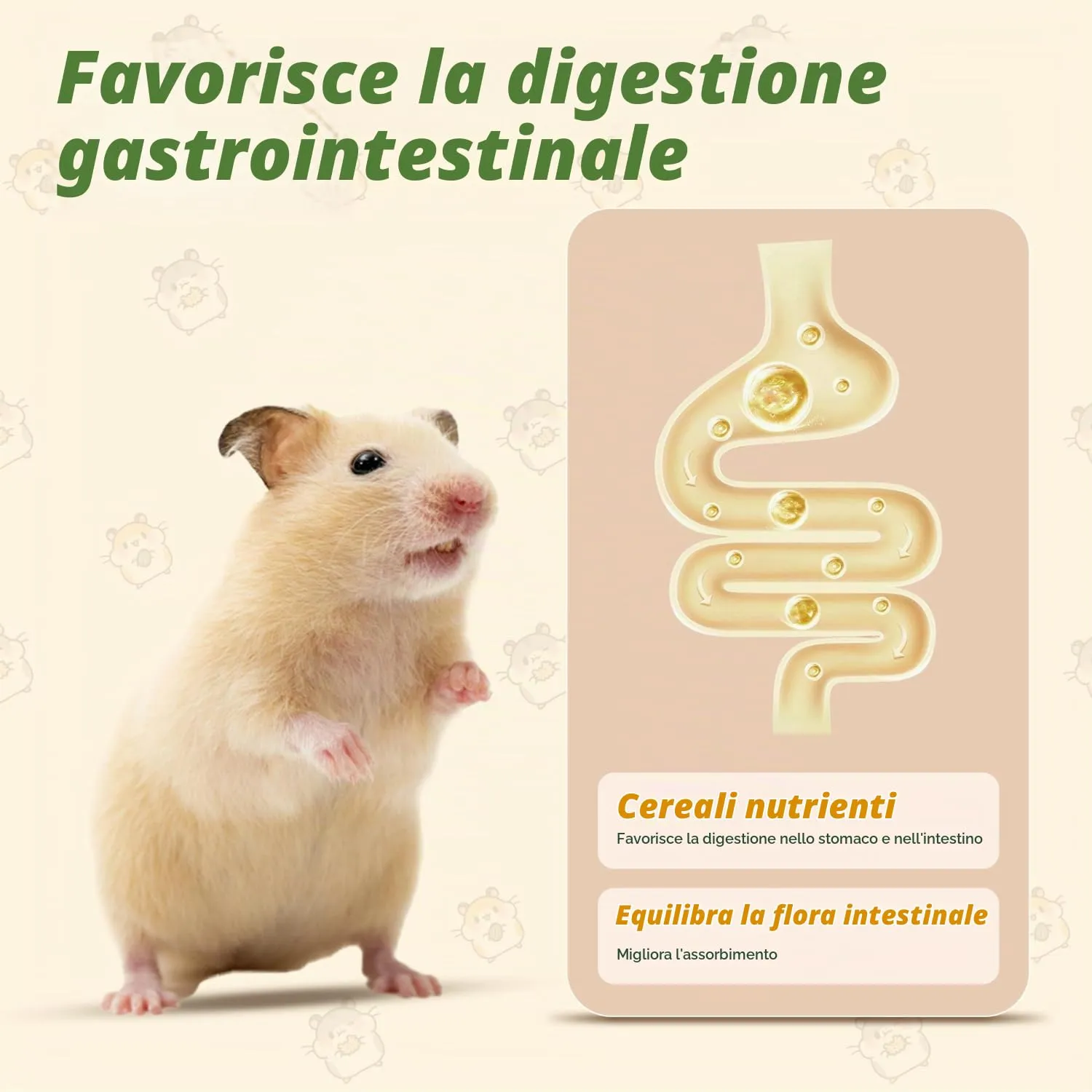 Nobleza - (500g) Mangime per Criceti, Cibo per Gerbilli, Alimento Completo per Criceti in Sacchetto, Pasto Misto di Vitamine e Fibre - immagine 5