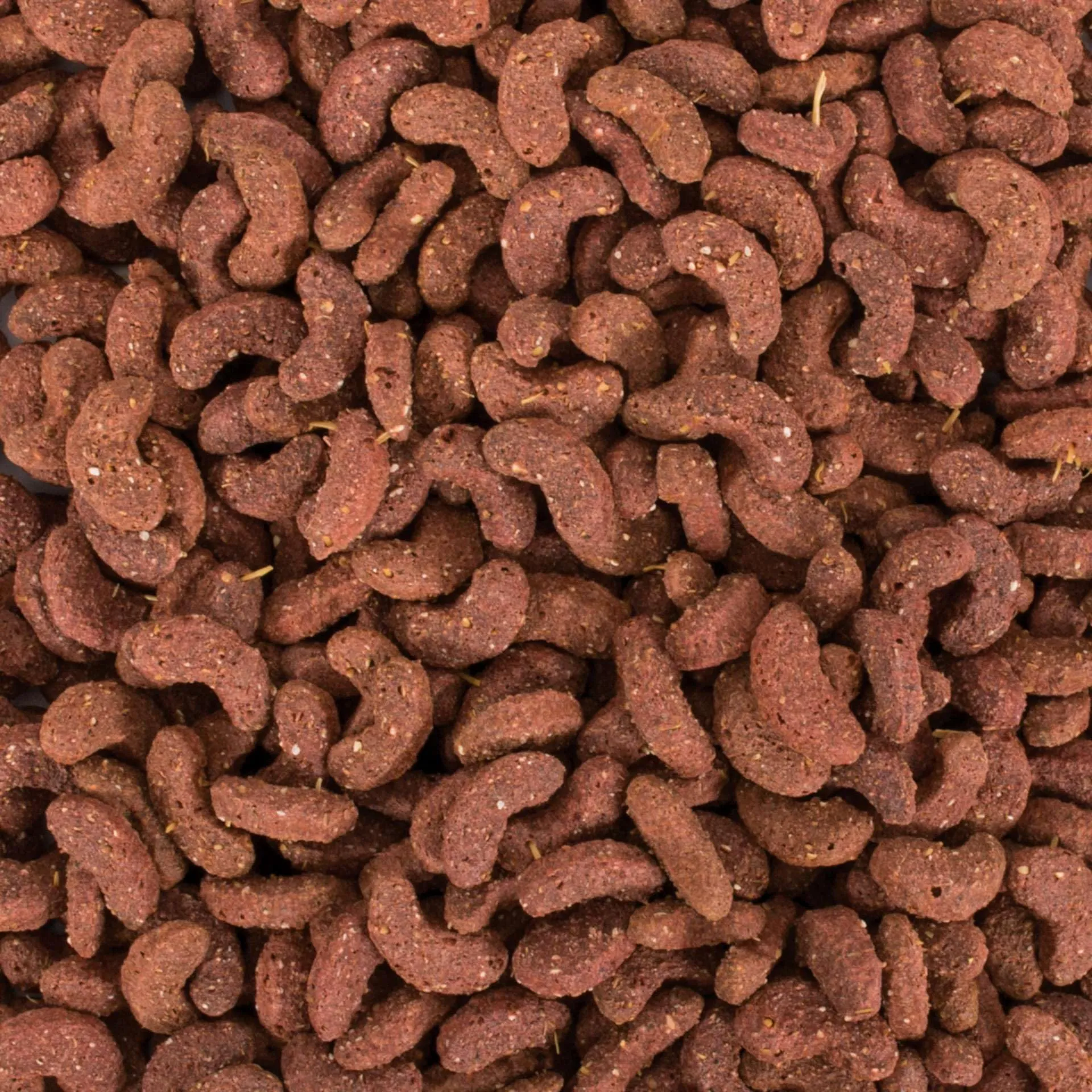 All in 1 Rat & Mouse 500g - Mangime per RATTI E TOPI. Complete alimento estruso, a base di chicchi di cereali e semi, con proteine animali e chitina - immagine 2