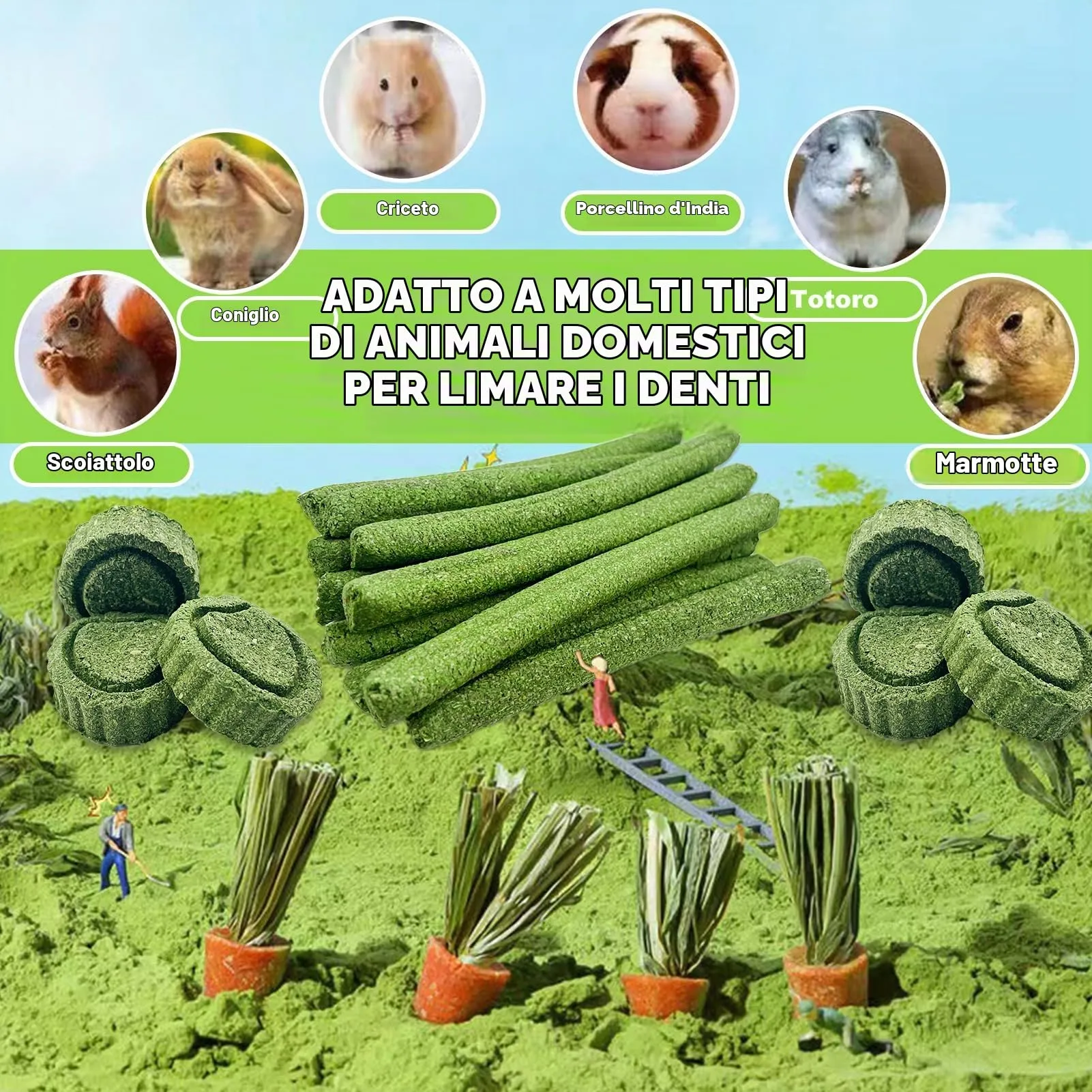 Ourdort 24 pcs Bastoncini di Fieno Timothy, Mangime Fieno per Conigli Cavia Criceti Cincillà, Bastoncini di Fieno Timothy per Conigli Porcellini d'India, Cincillà, Criceto - immagine 5