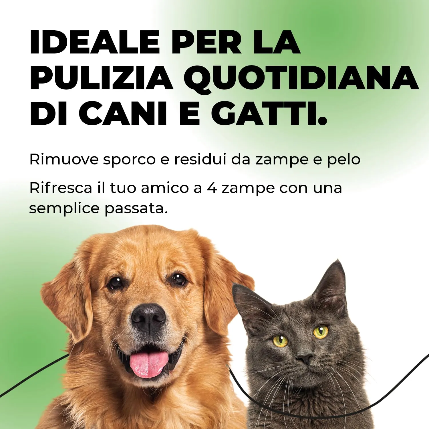 ERRECHOME Wipy Salviettine Detergenti Cani Gatti, Clorexidina,100pz,30x15cm - immagine 2