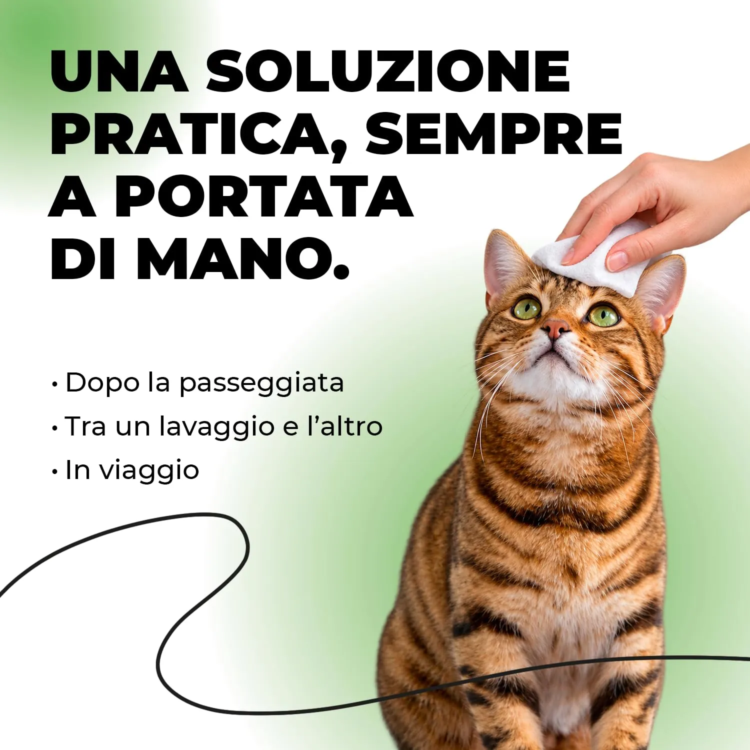 ERRECHOME Wipy Salviettine Detergenti Cani Gatti, Clorexidina,100pz,30x15cm - immagine 3