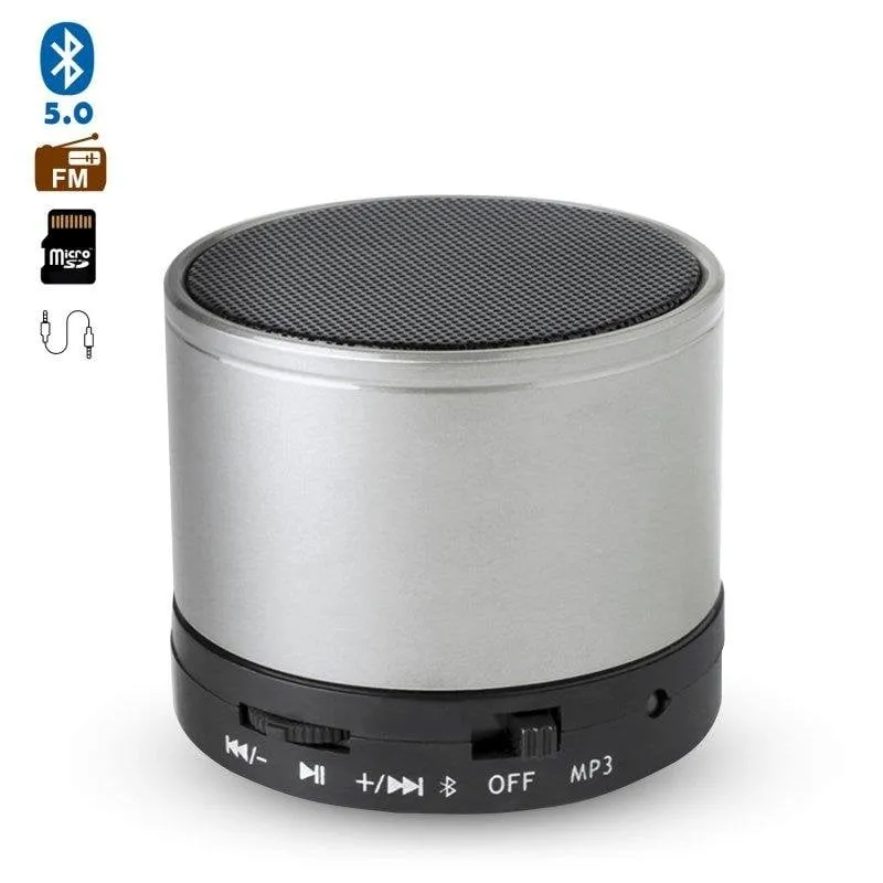 Altoparlanti Dam Electronics Compatti Bluetooth 3.0 3W con radio FM e vivavoce - immagine 1