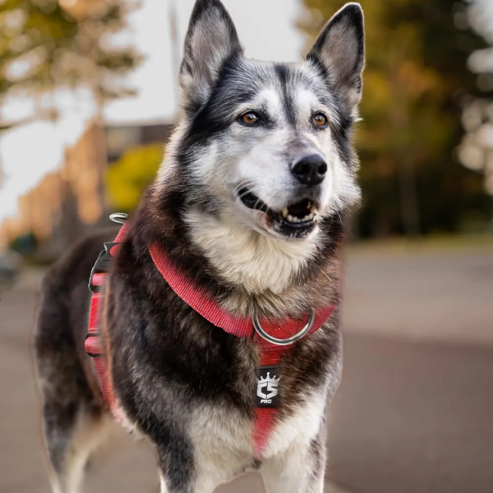 TSPRO Pettorina Cane Robusta No Pull con Maniglia per Cani Medi e Grandi - immagine 7