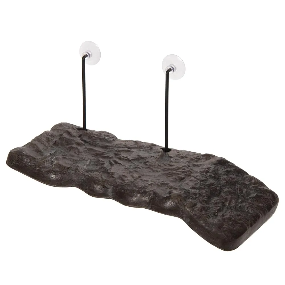 Zoomed T8016020 Isola Turtle - immagine 1