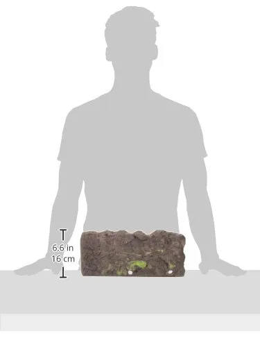 Zoomed T8016020 Isola Turtle - immagine 3