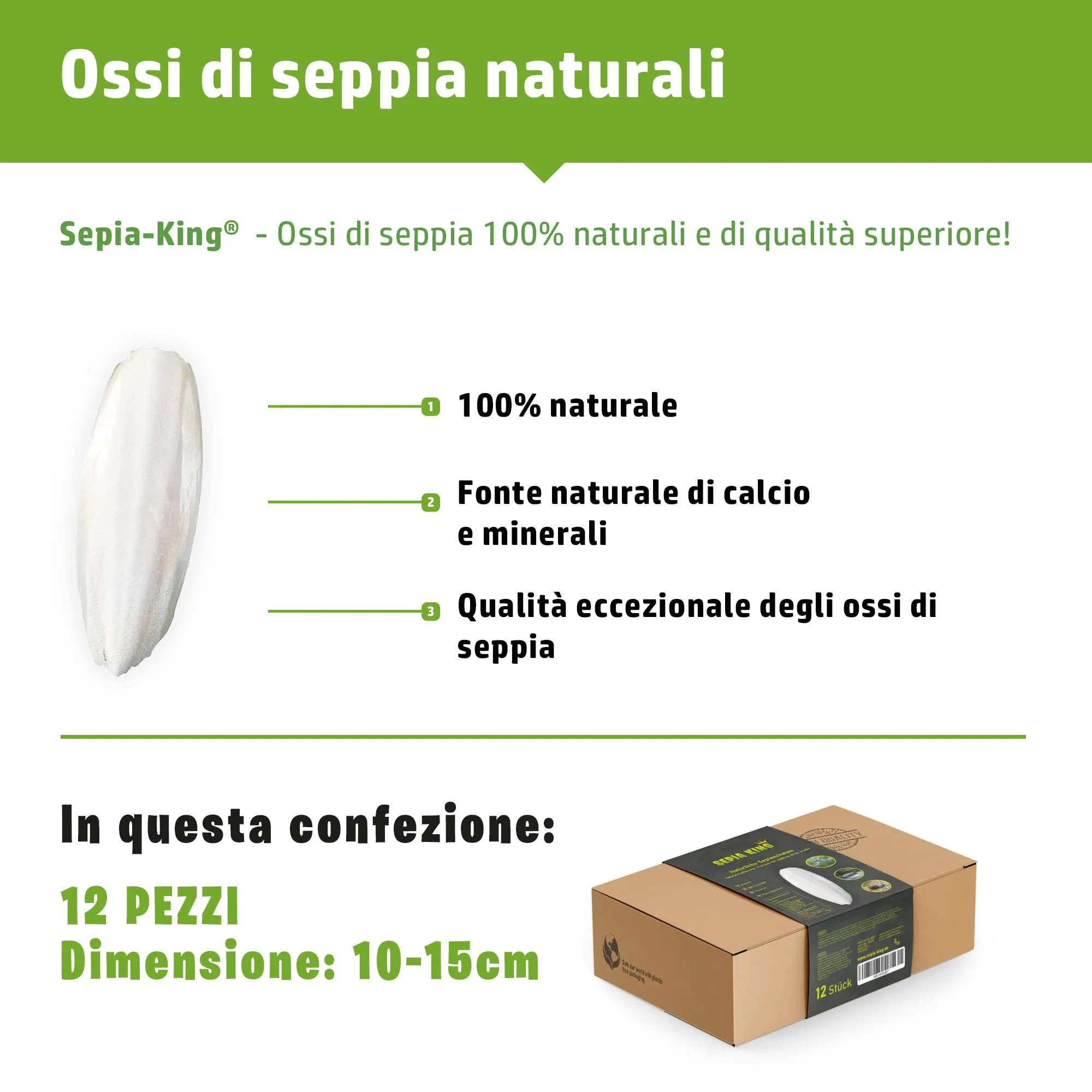 Sepia King – Ossa di Seppia per Tartarughe, Rettili, Uccelli e Lumache - Ossi di Seppia, Fonte Naturale di Calcio, Accessorio per Terrario, 12 Pezzi, 10–15cm - immagine 2