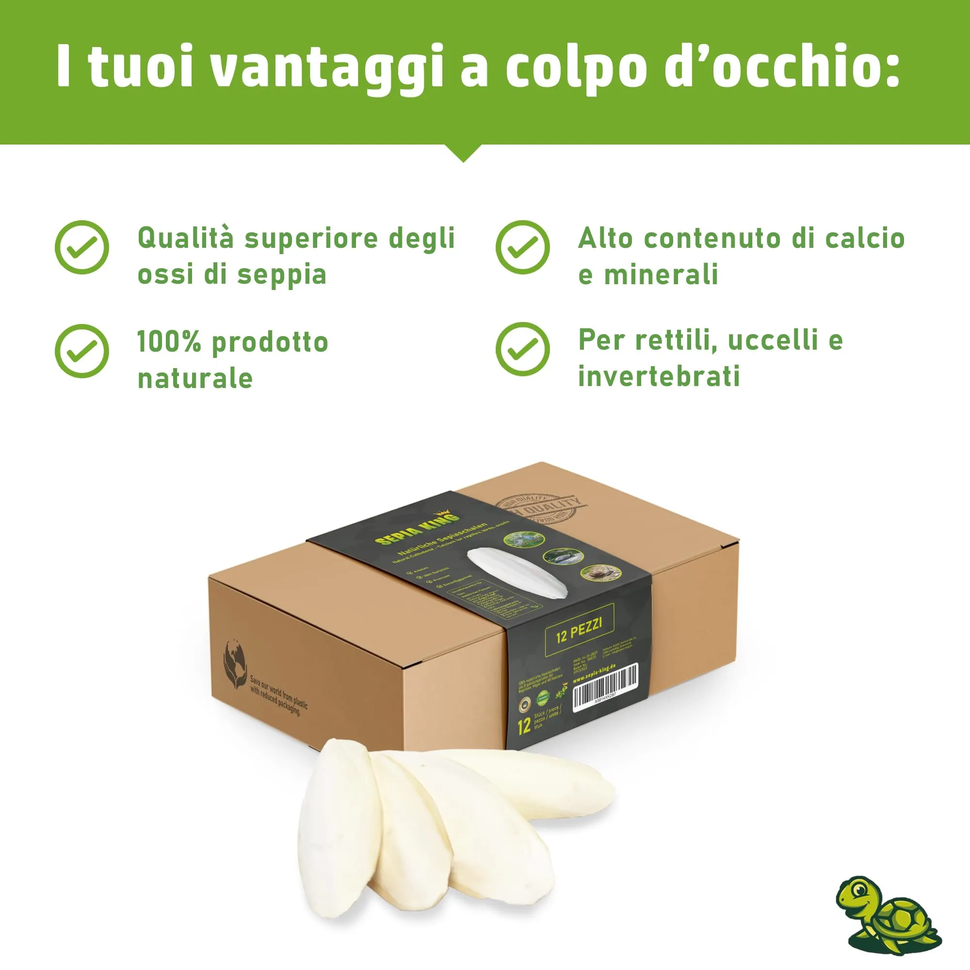 Sepia King – Ossa di Seppia per Tartarughe, Rettili, Uccelli e Lumache - Ossi di Seppia, Fonte Naturale di Calcio, Accessorio per Terrario, 12 Pezzi, 10–15cm - immagine 4