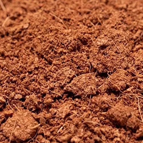 BIO COCCO Fibra di Cocco 100% Naturale per Terrari, 20 Litri - immagine 2