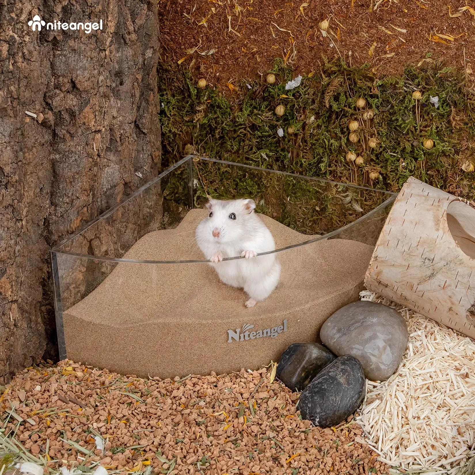 Niteangel Hamster Desert Bath Sand | No-Dust Bath or Potty Litter for Hamster Chinchillas Gerbil Mice Degu or Other Small Pets (2.5LB, Desert Sand) - immagine 5