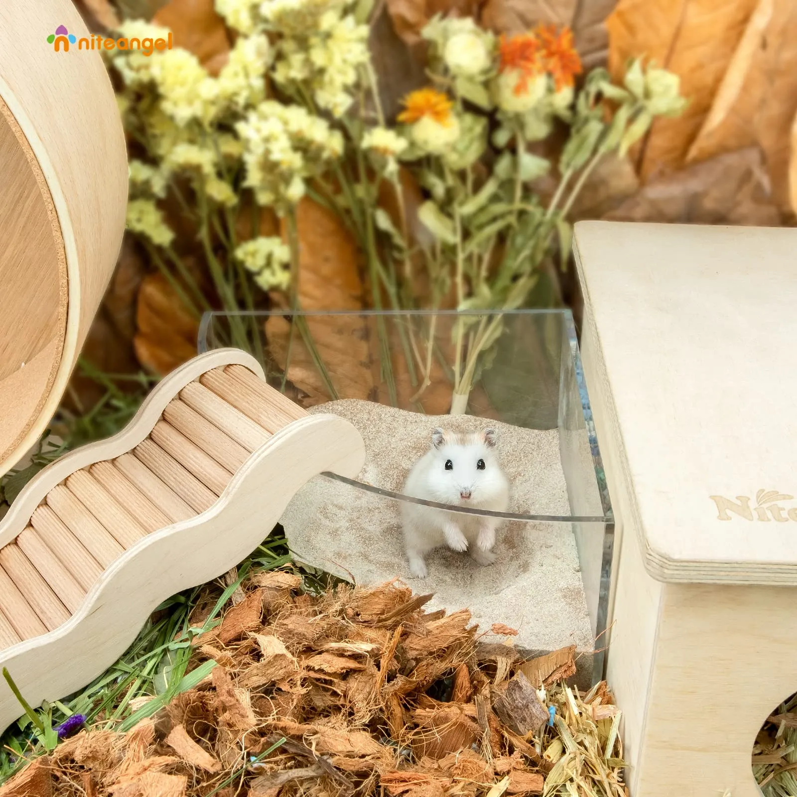 Niteangel Sabbia da bagno nel deserto per criceti, cincillà, gerbo, topi, degu o altri piccoli animali domestici (Sabbia del deserto e particelle di zeolite, 1kg) - immagine 5