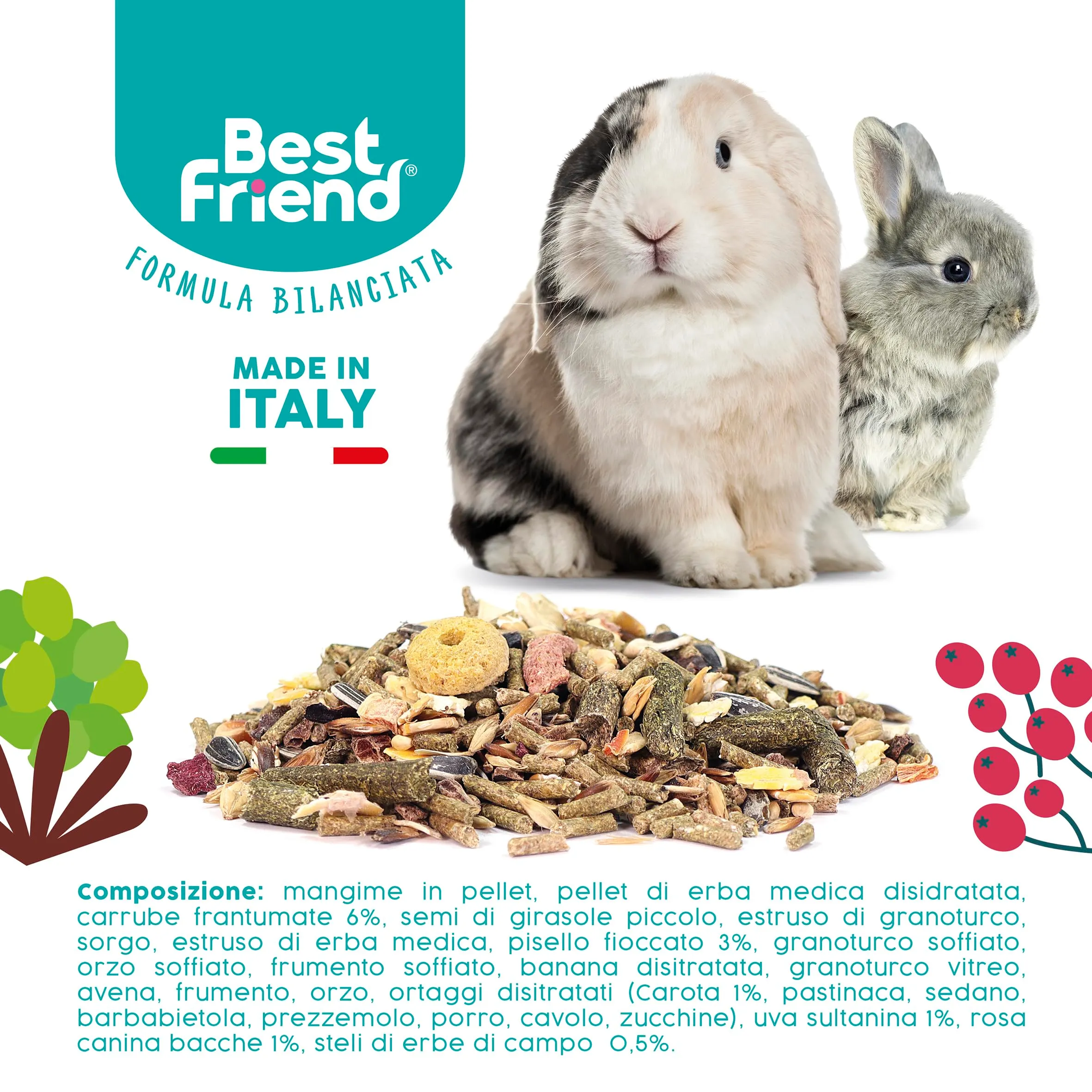 Best Friend Mangime Completo per Conigli Nani con Bacche di Rosa Canina, Pisello Fioccato, Carrube, Uva Sultanina. Mangime per Roditori con Ingredienti Naturali, Made in Italy| Confezione da 6 pacchi - immagine 5
