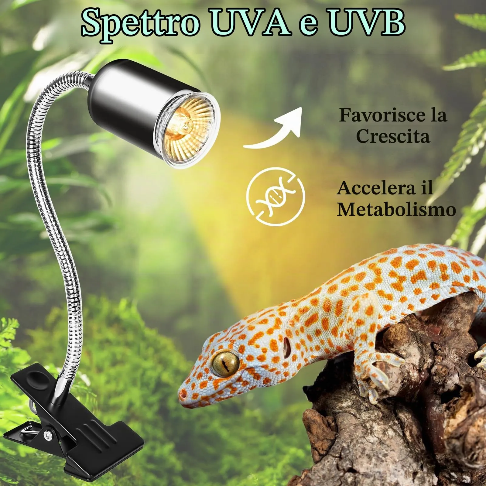 LURICO Lampada uvb Tartarughe, Lampada Rettile e Anfibio con 2 Lampadine UVA UVB, Interruttore Timer Regolabile, Lampadina Riscaldante con Morsetto Rotante a 360 ° per Tartarughe Rettili Lucertole - immagine 3