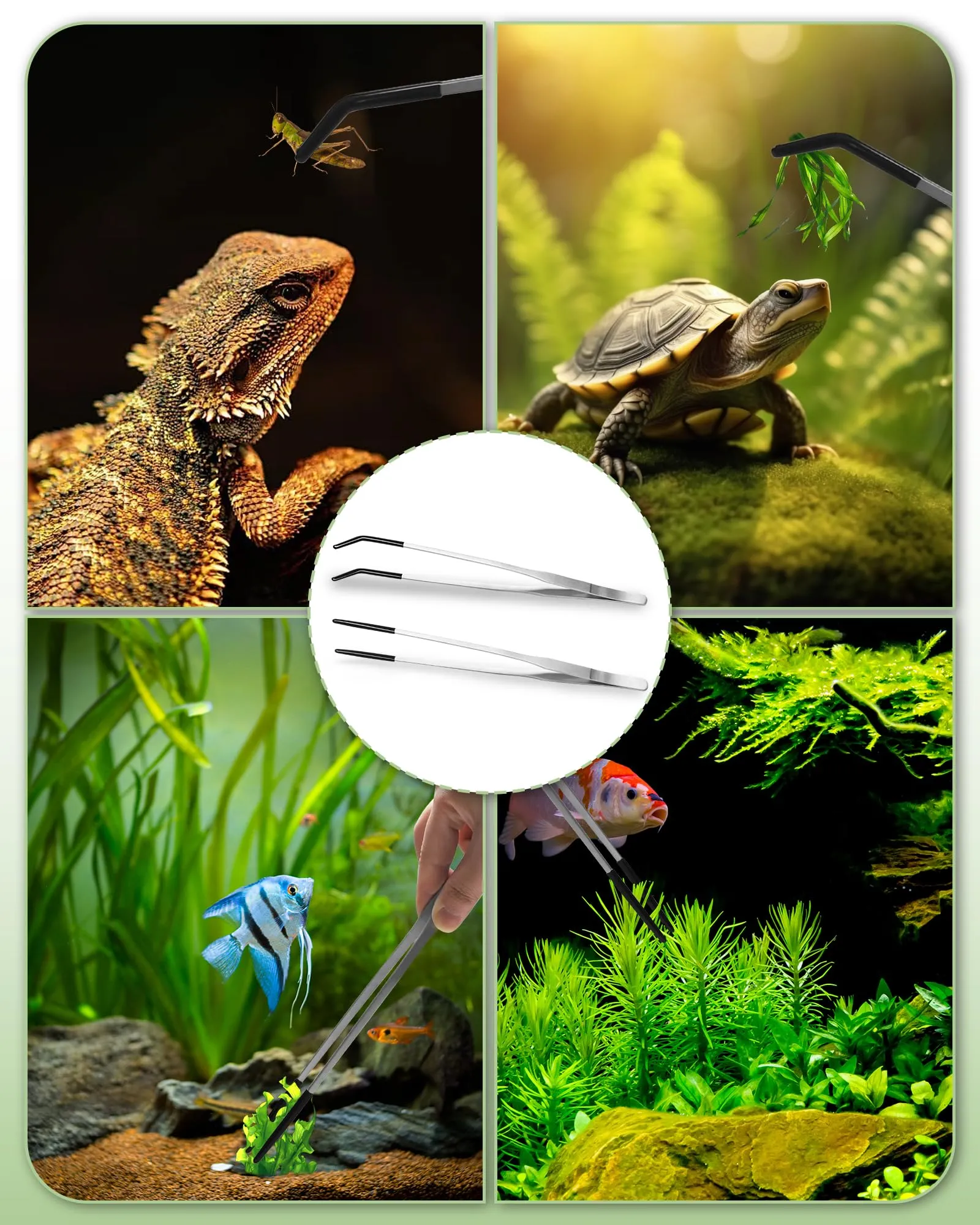 2 Pezzi 27cm Pinzette per rettili Pinzette per acquario in acciaio inox Pinzetta dritta e curva con punta in gomma Pinzette extra lunghe per alimentazione per rettili,piante acquatiche e acquari - immagine 7